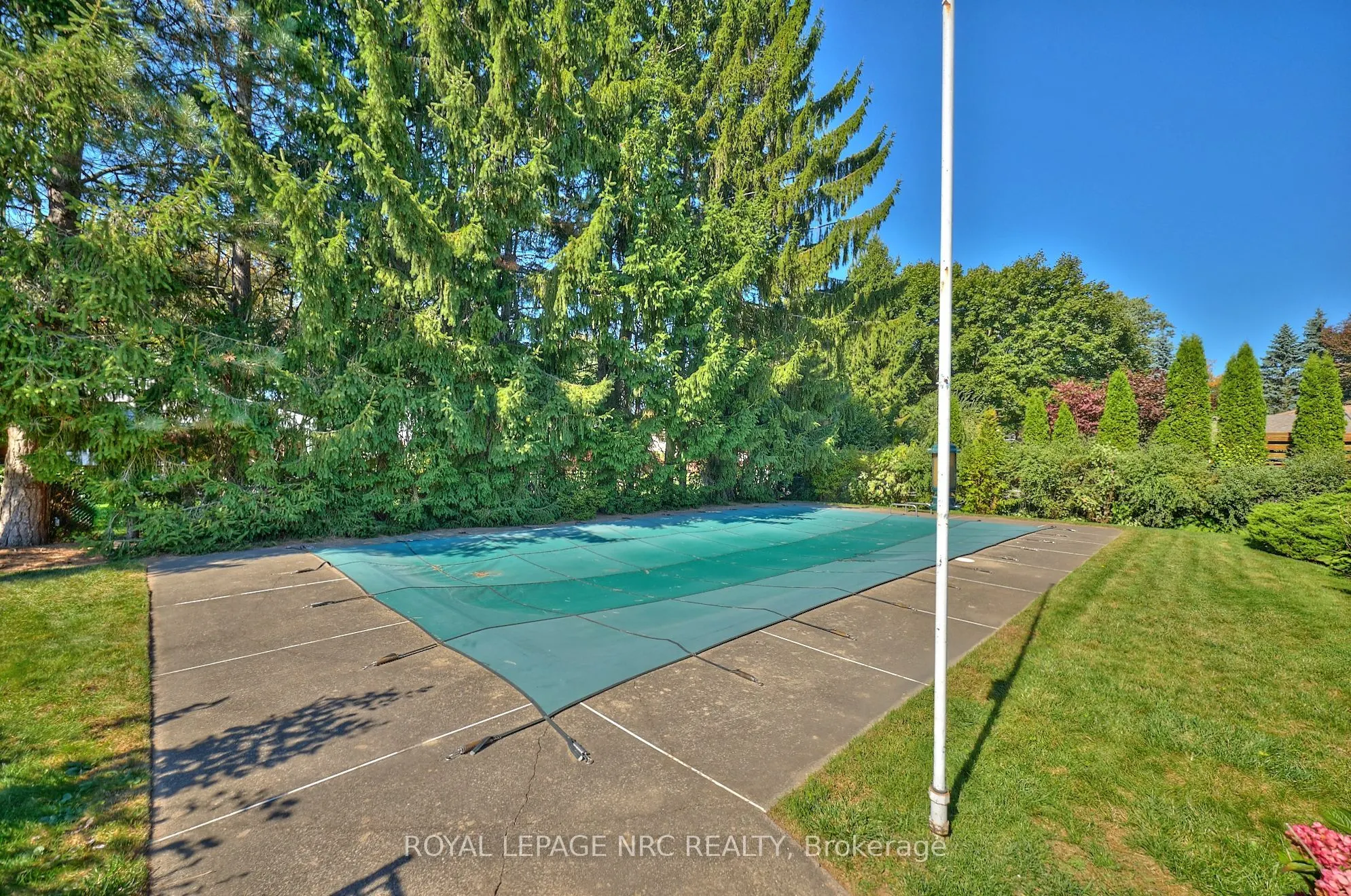 125 DALEVIEW Drive