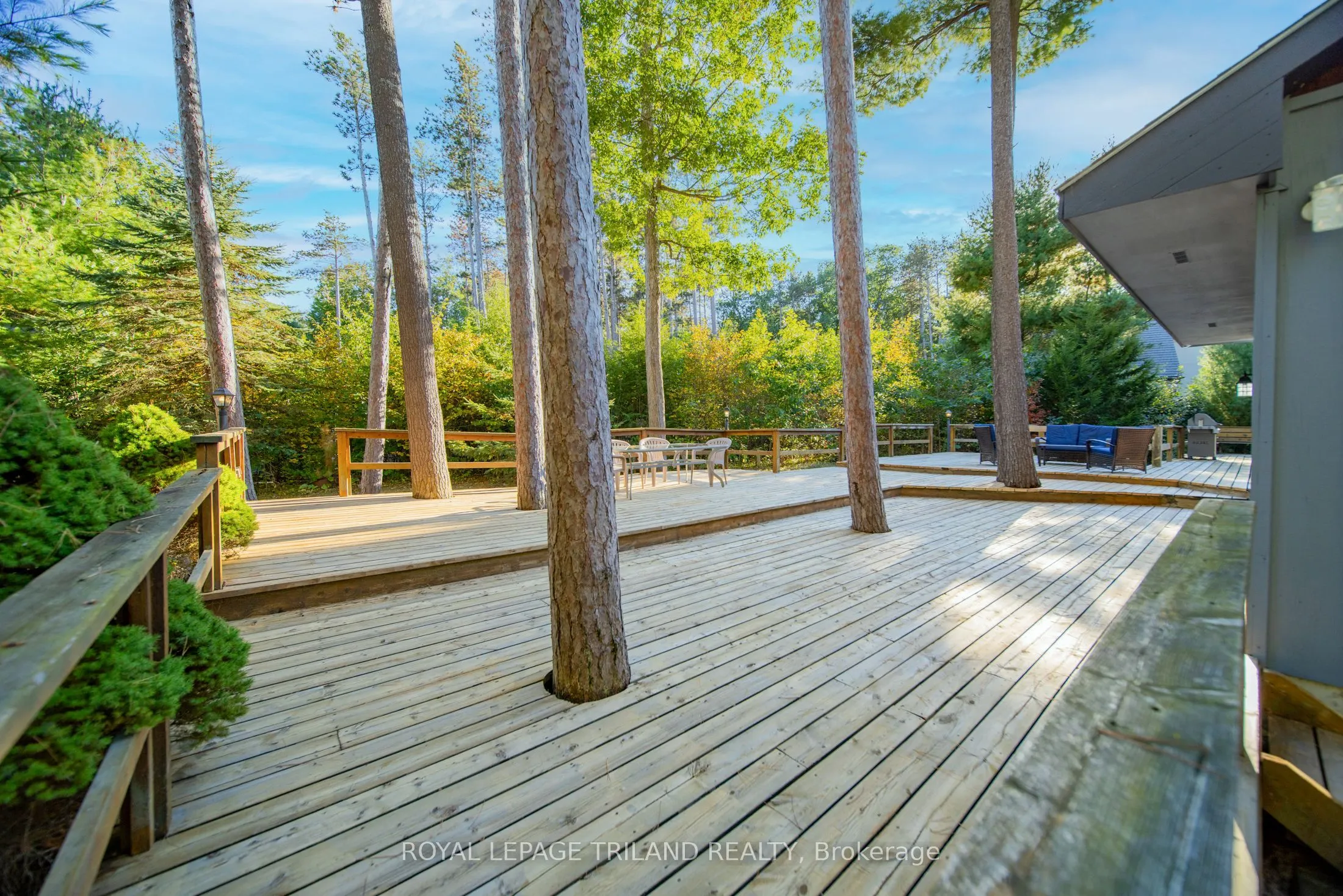 10395 PINETREE Drive