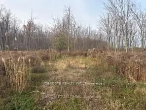 4942 County Road 34 Road