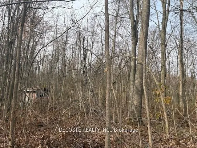 4942 County Road 34 Road