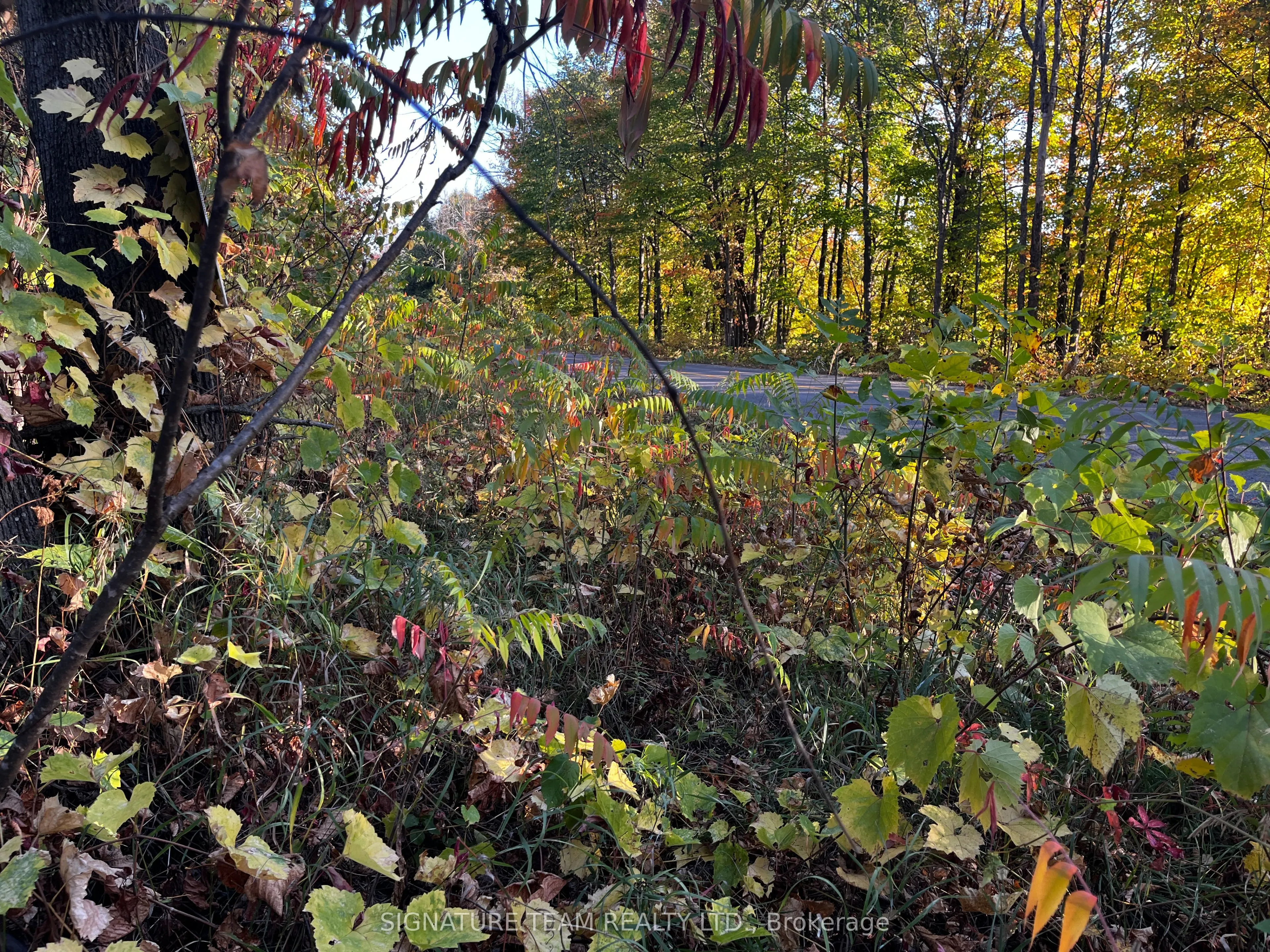 lot 0 Bellamy Road