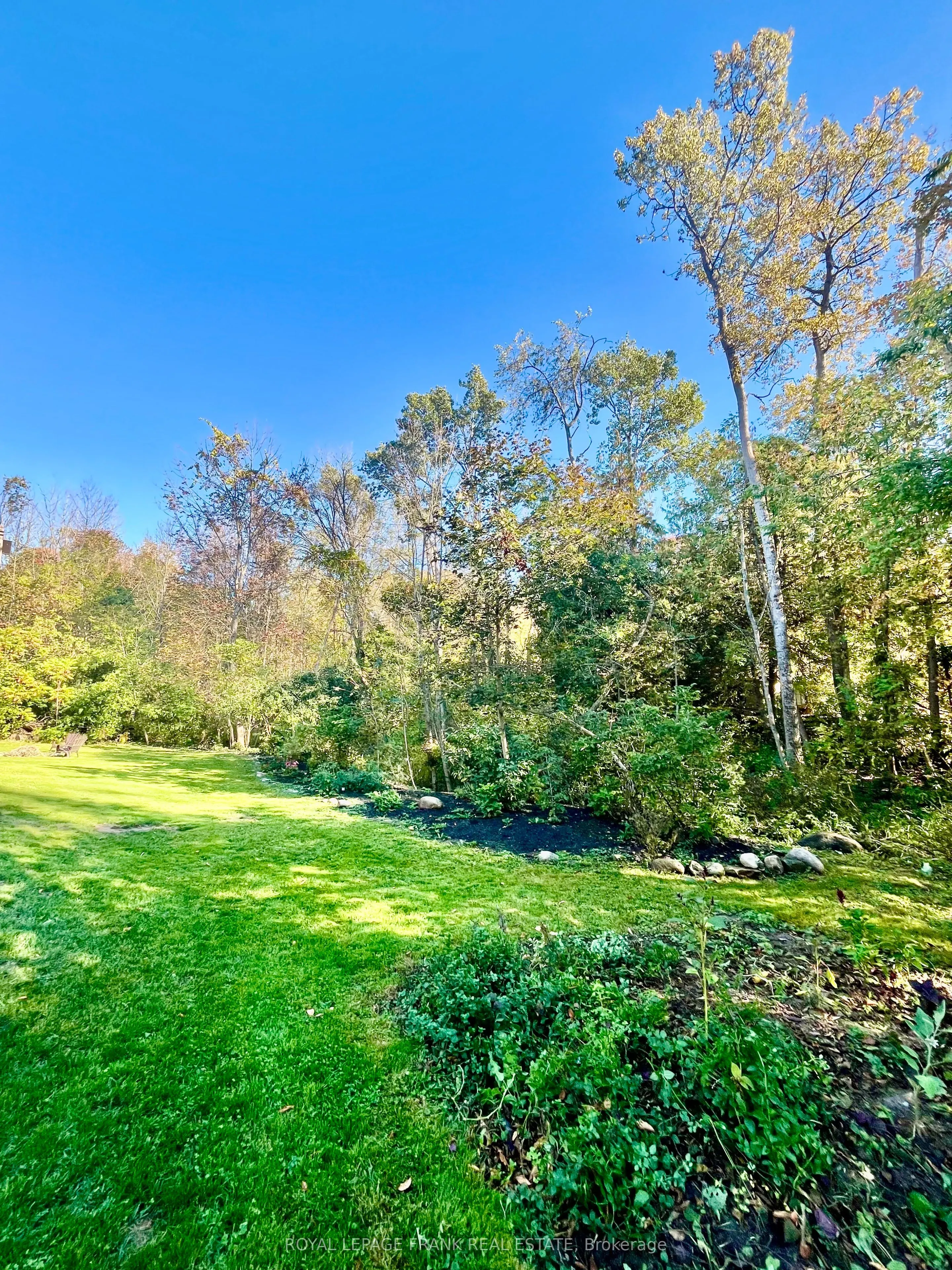 15359 Little Lake Road