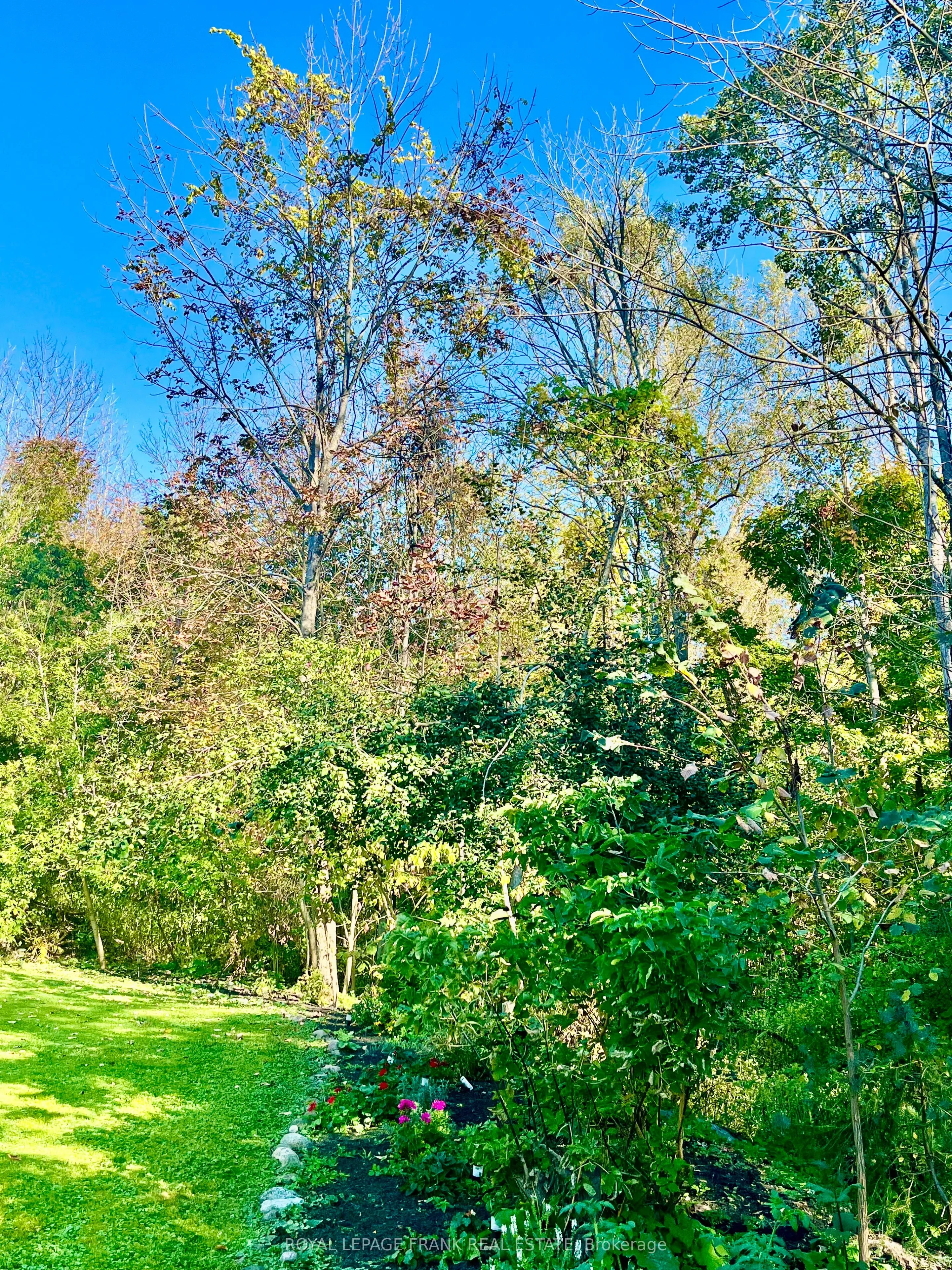 15359 Little Lake Road