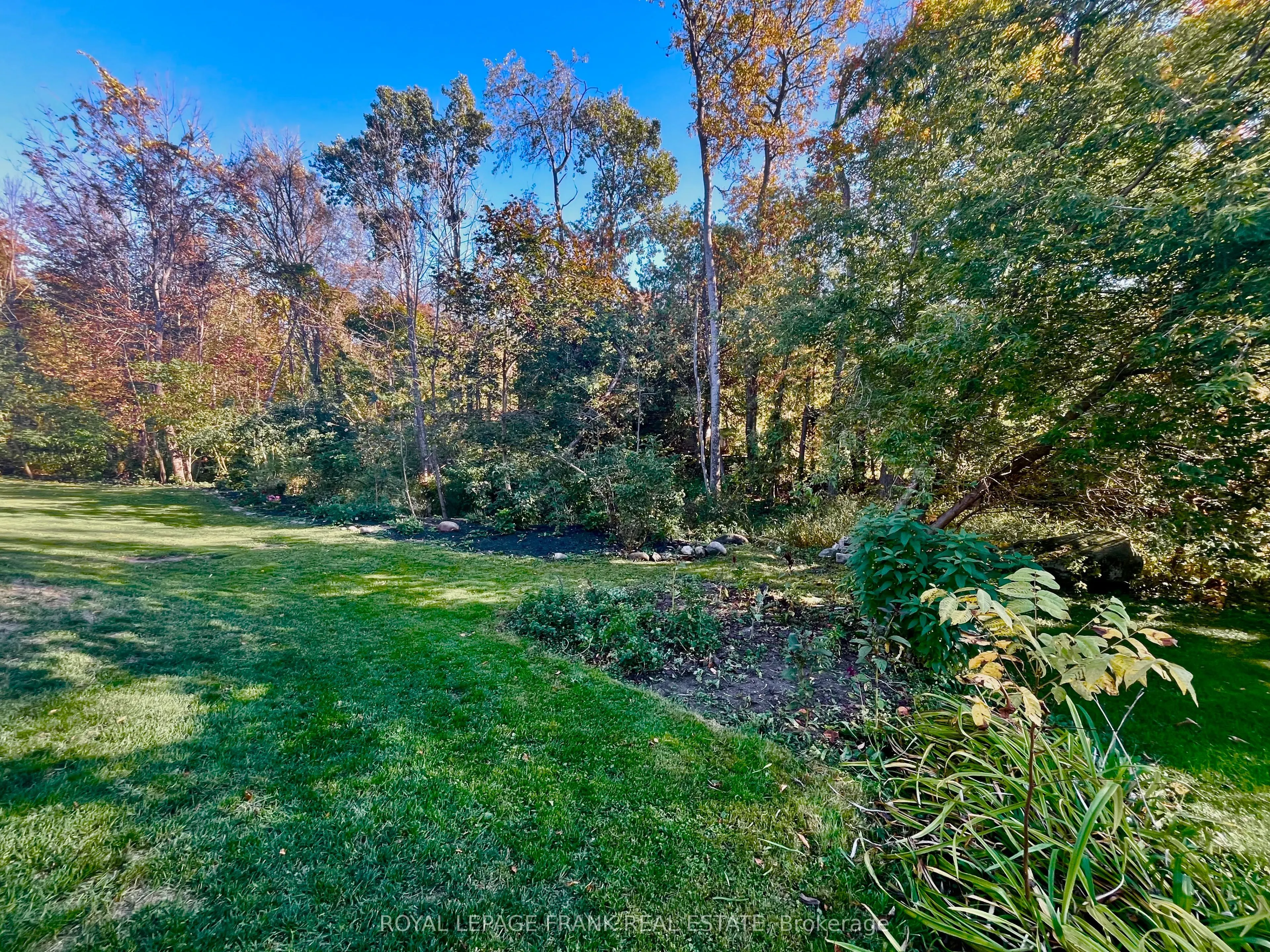 15359 Little Lake Road