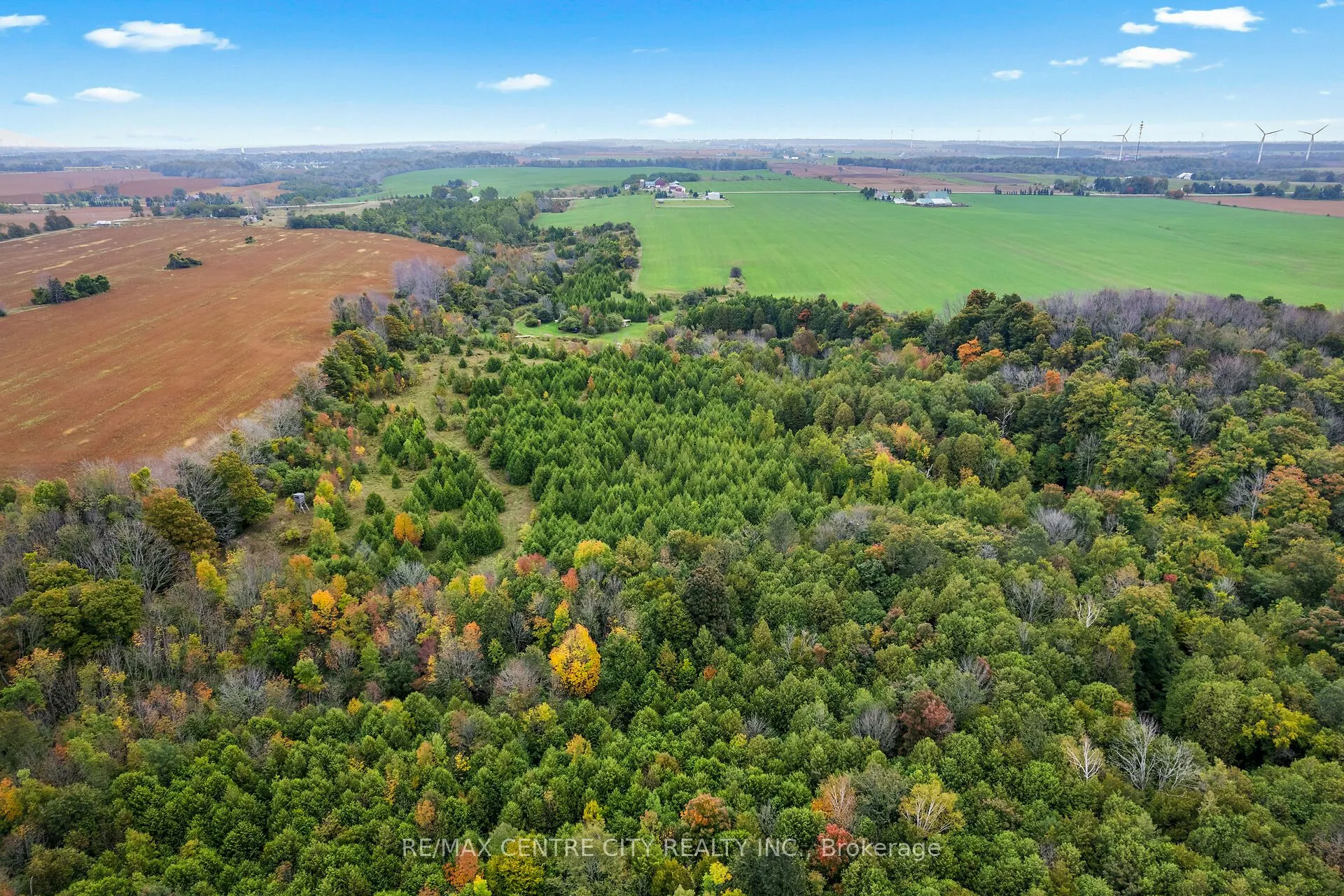 1041 Bruce Road 23