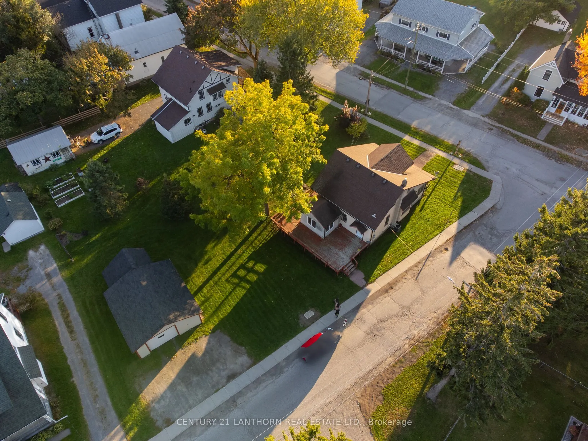 49 Consecon Street E