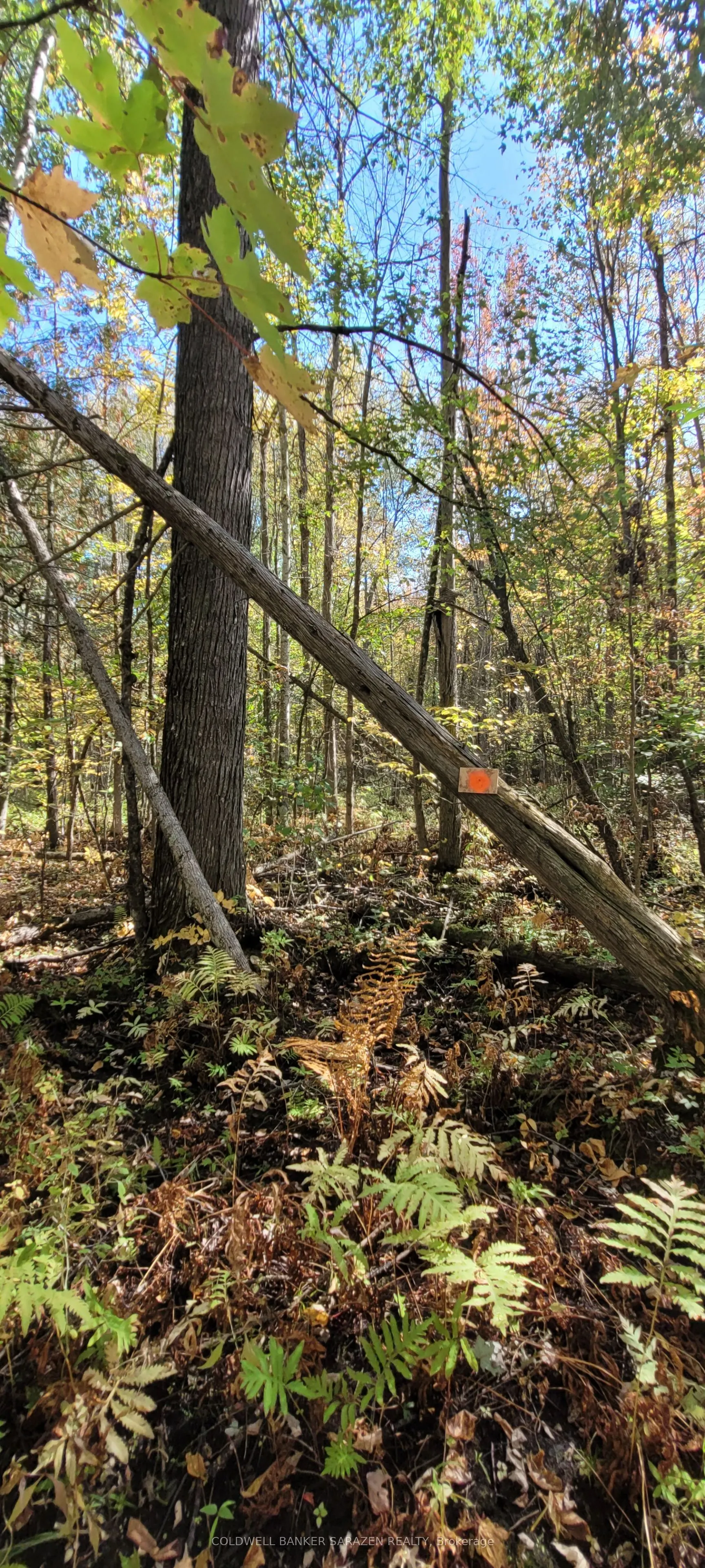 PT/Lot 21 Concession 3 Road