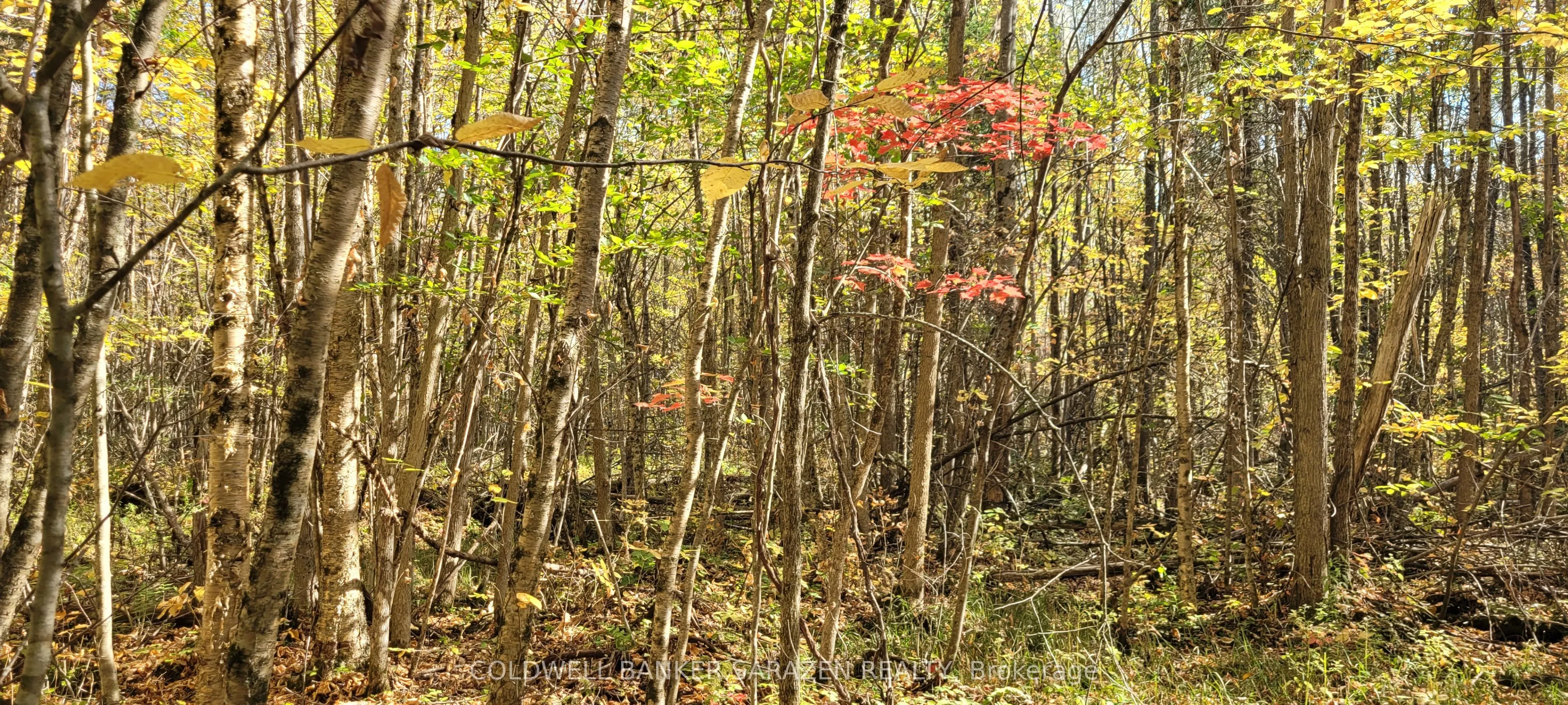 PT/Lot 21 Concession 3 Road