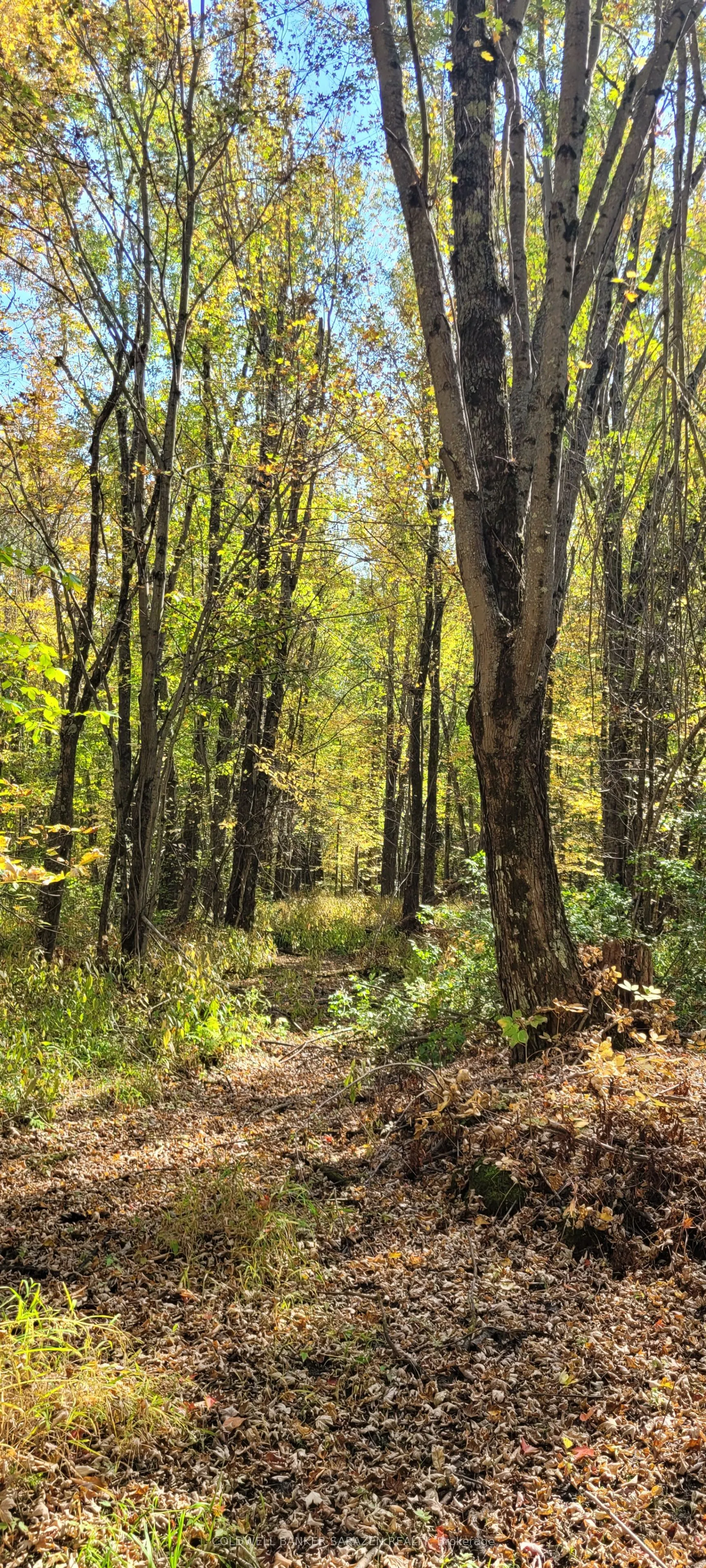PT/Lot 21 Concession 3 Road