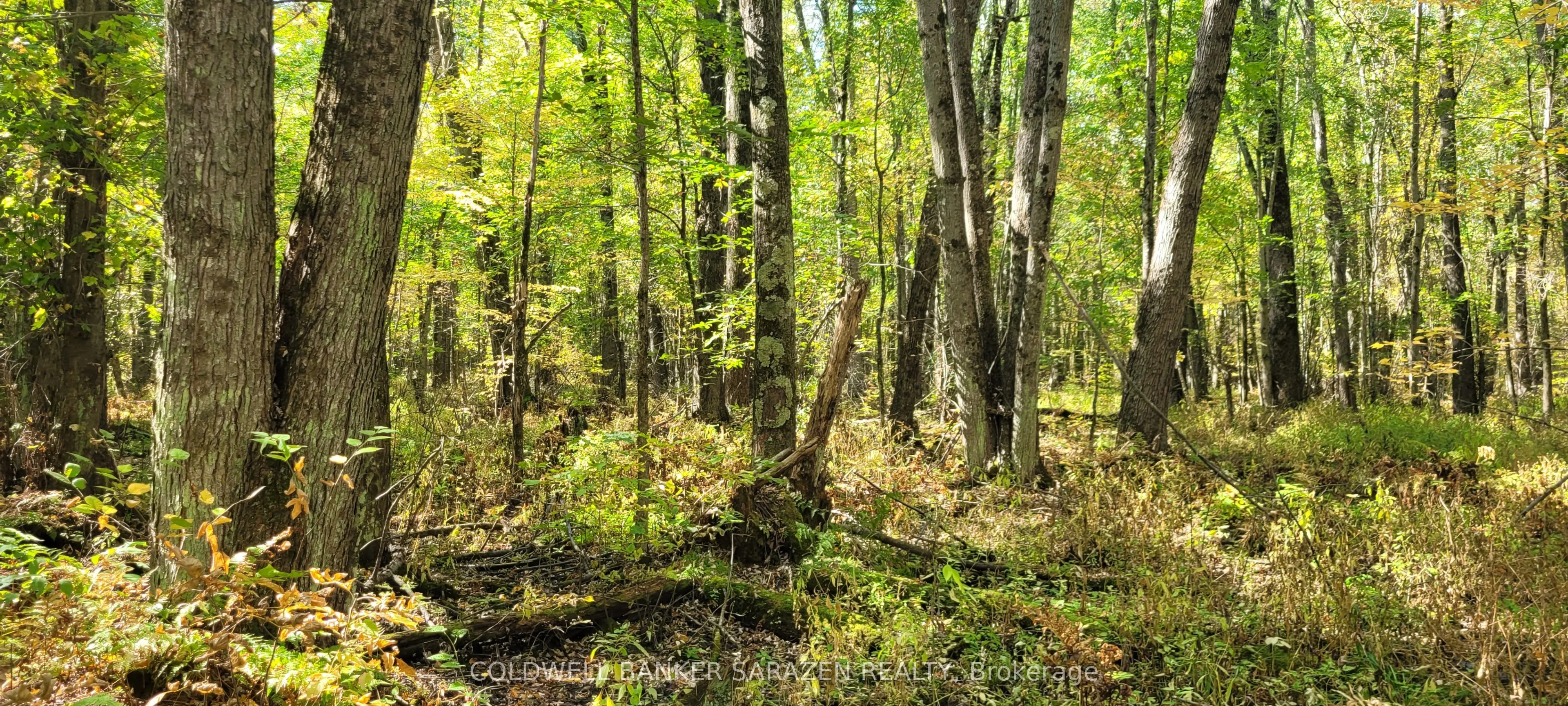 PT/Lot 21 Concession 3 Road