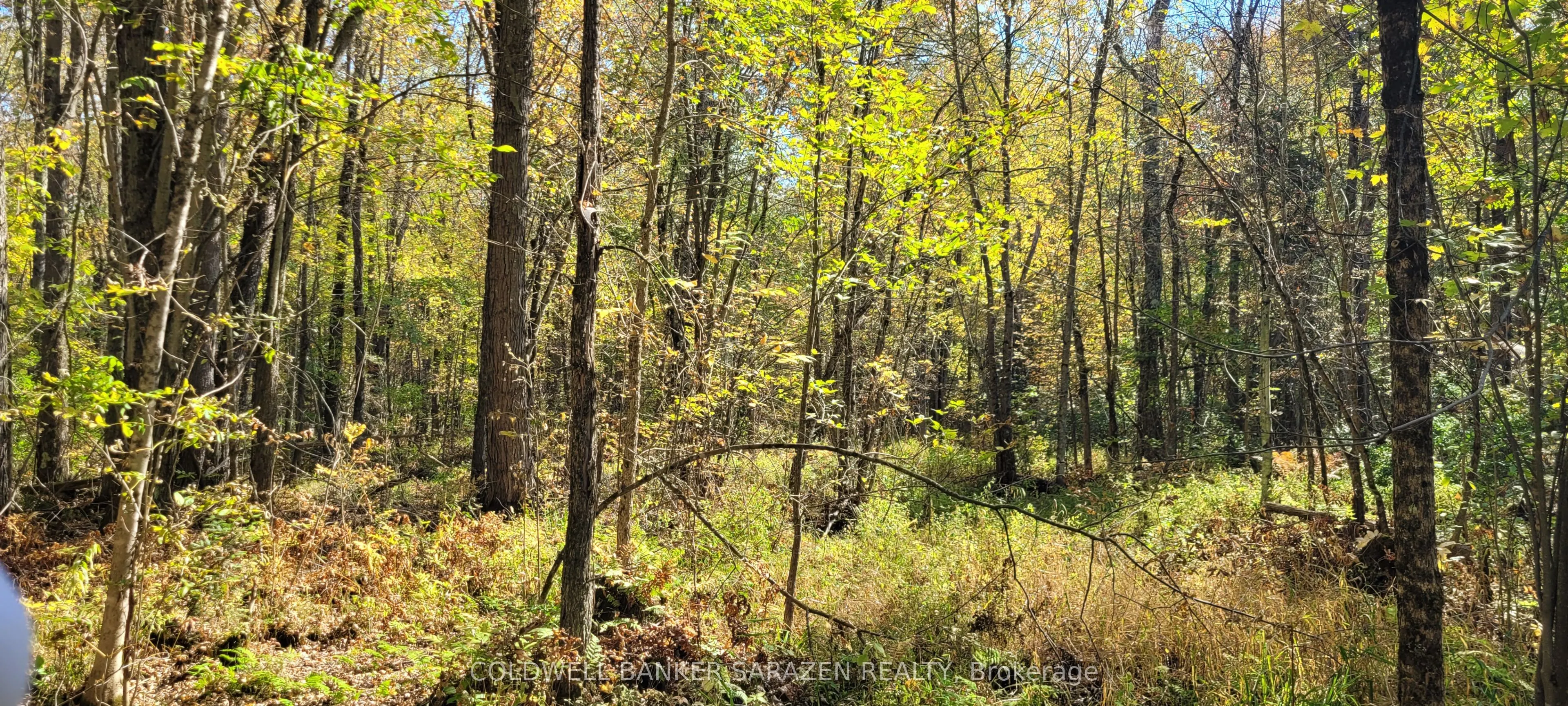 PT/Lot 21 Concession 3 Road