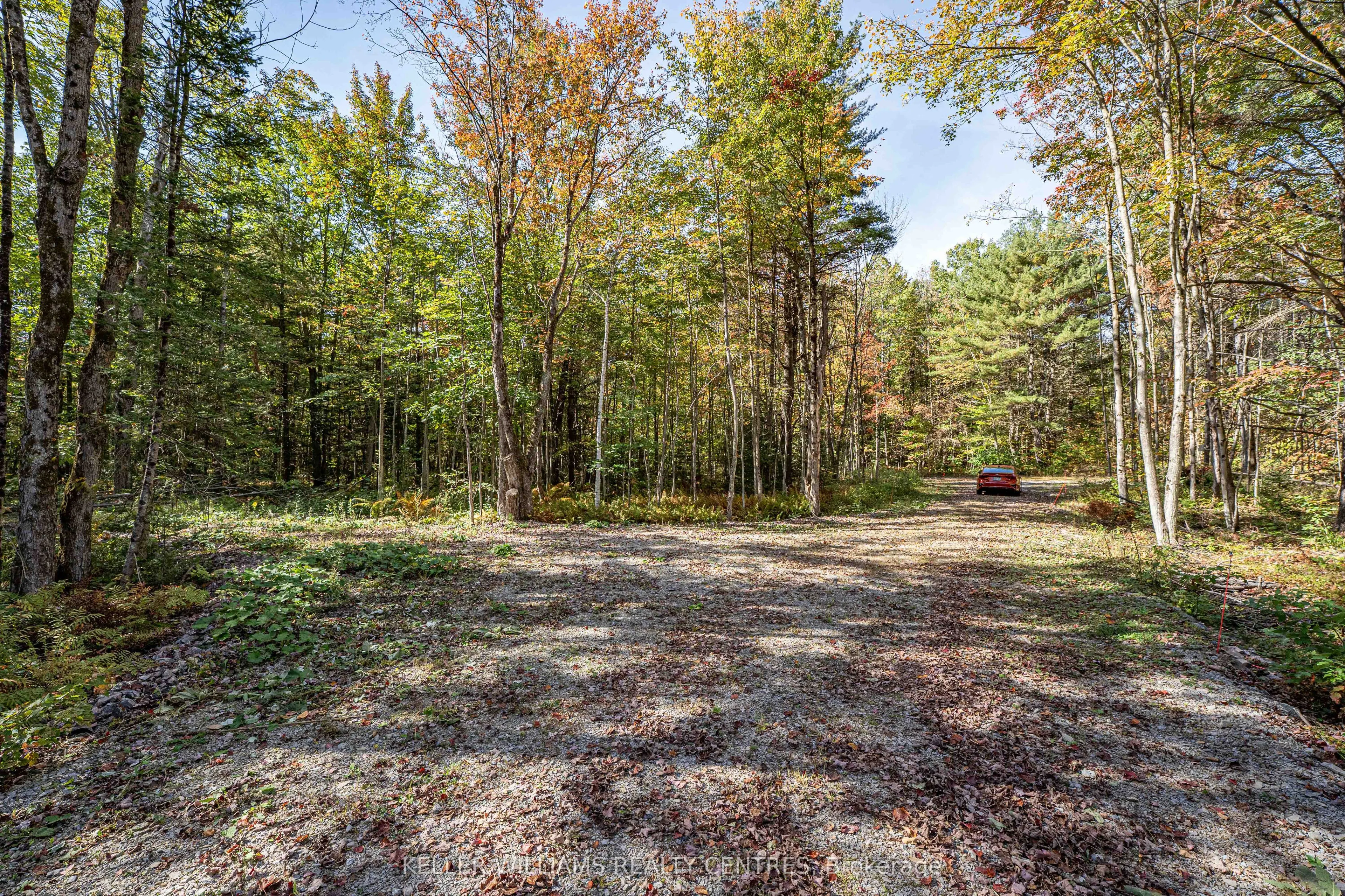 3124 Southwood Road