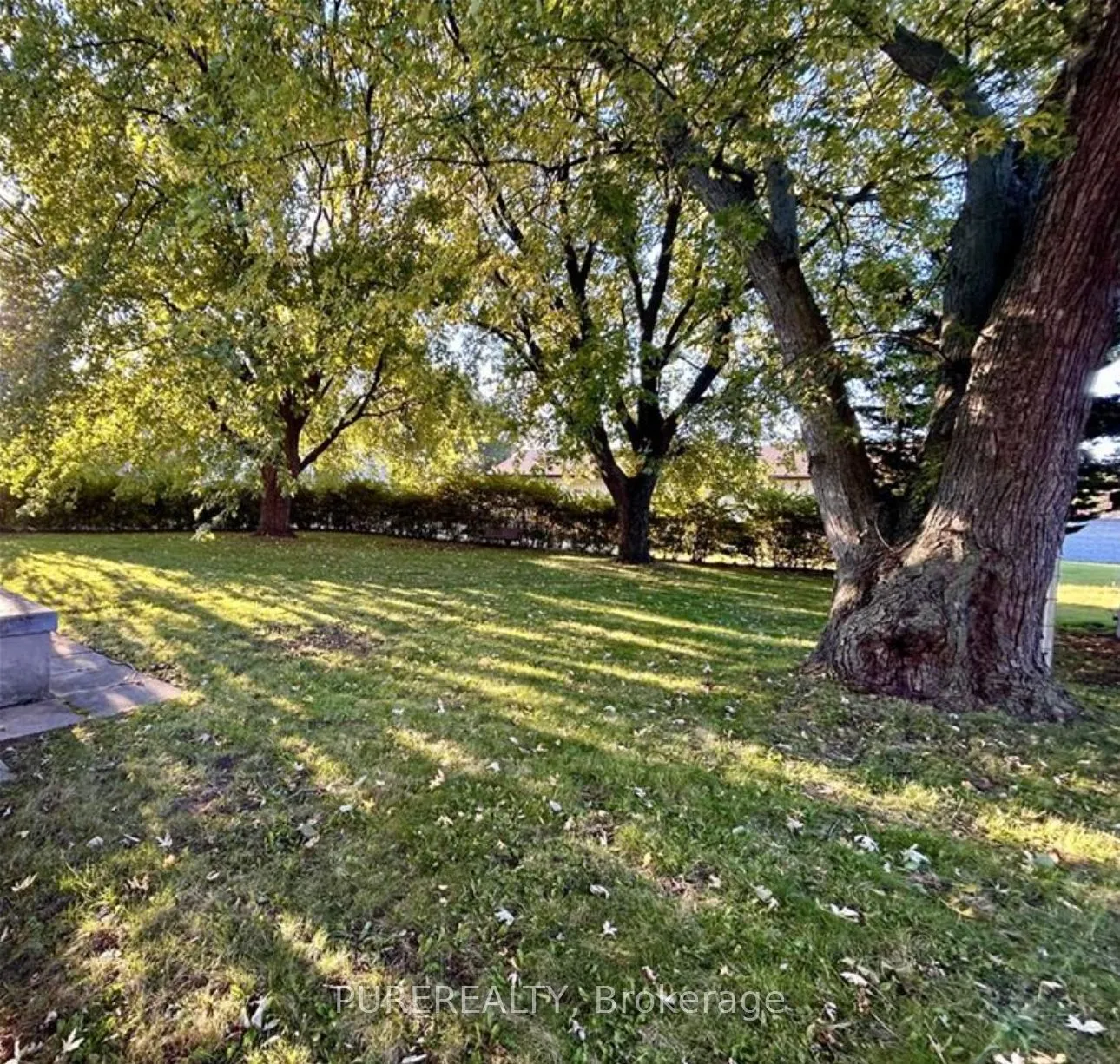 253 Limeridge Road W