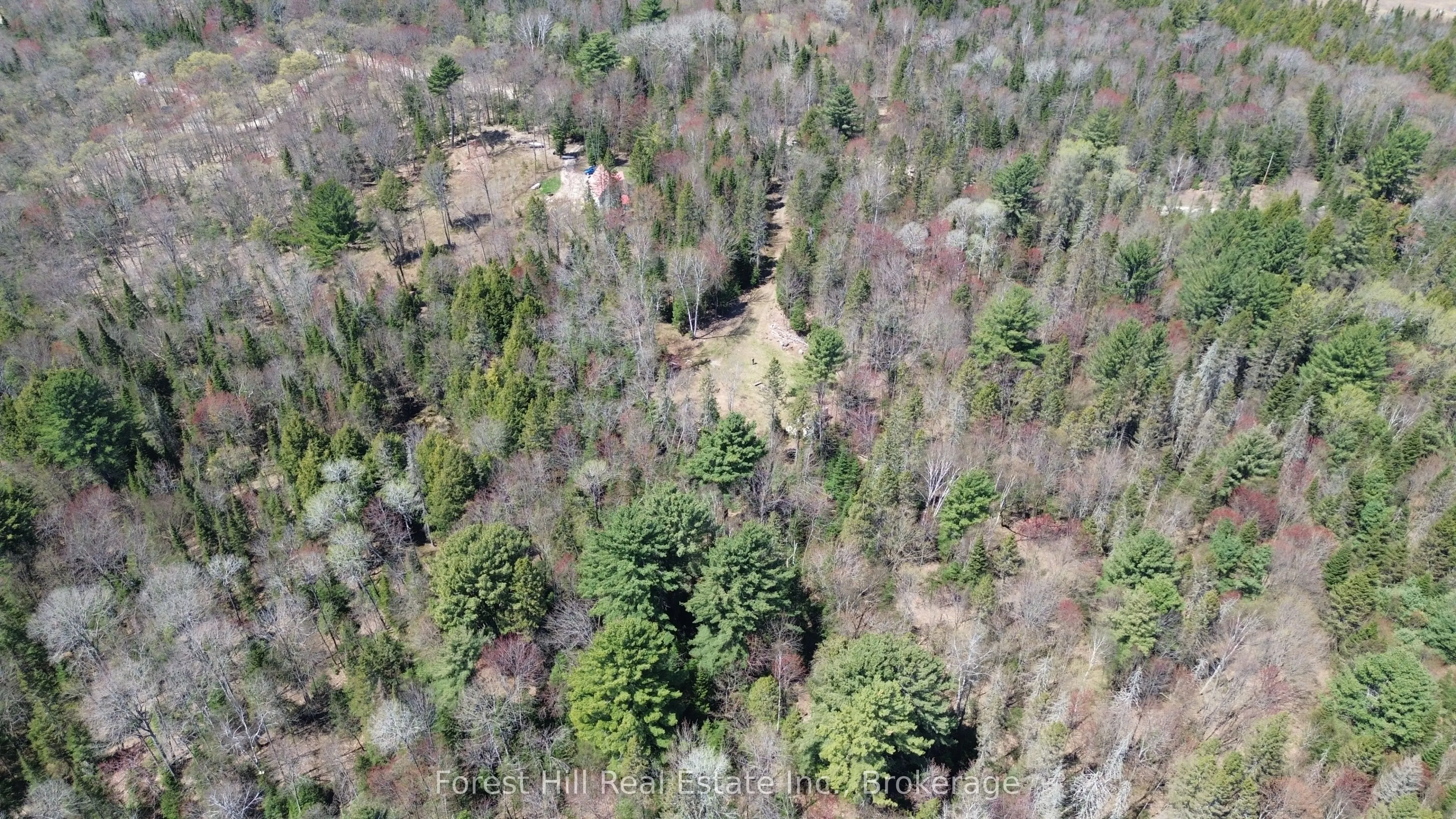 515 JAMES CAMP Road