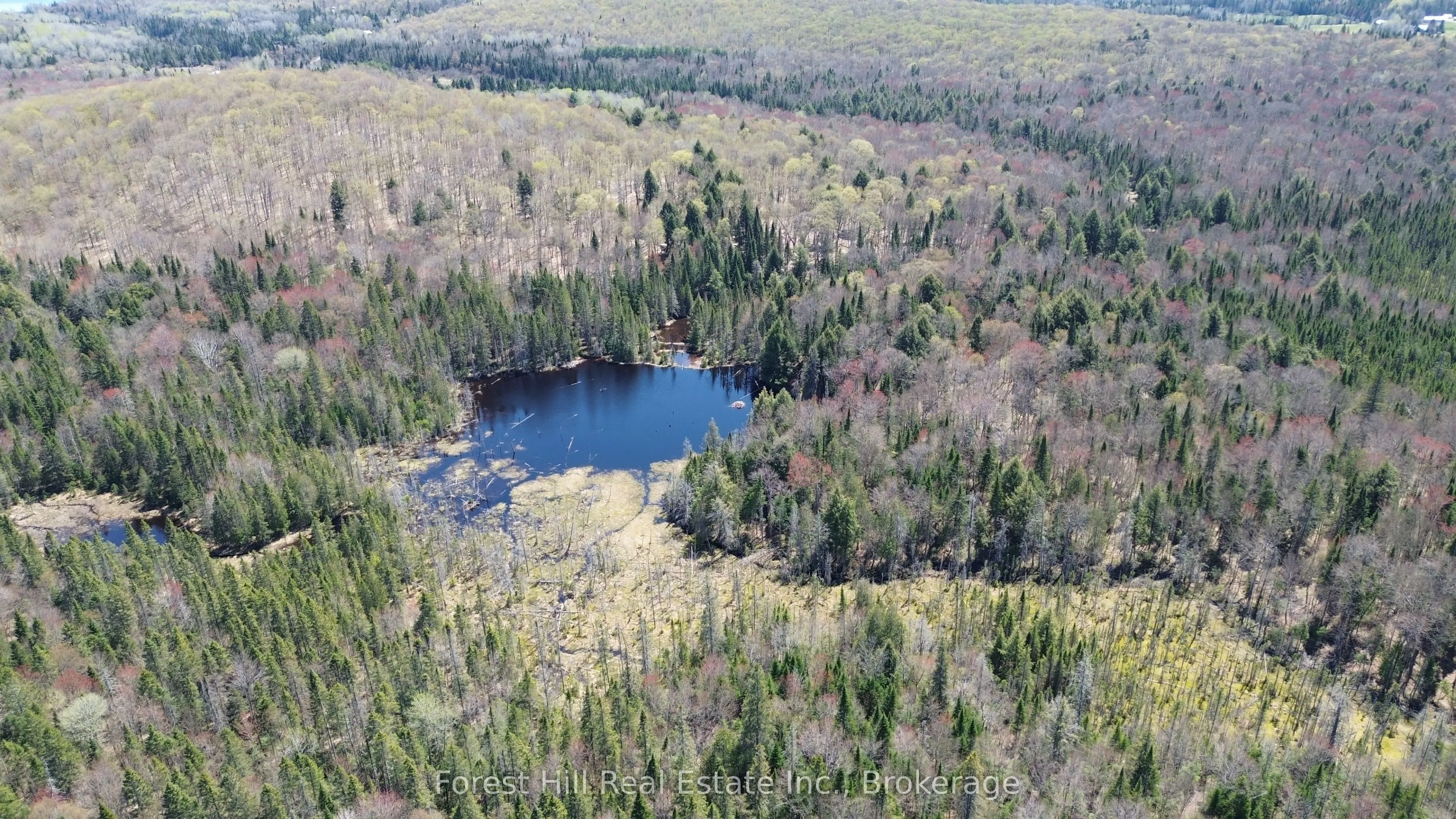 515 JAMES CAMP Road