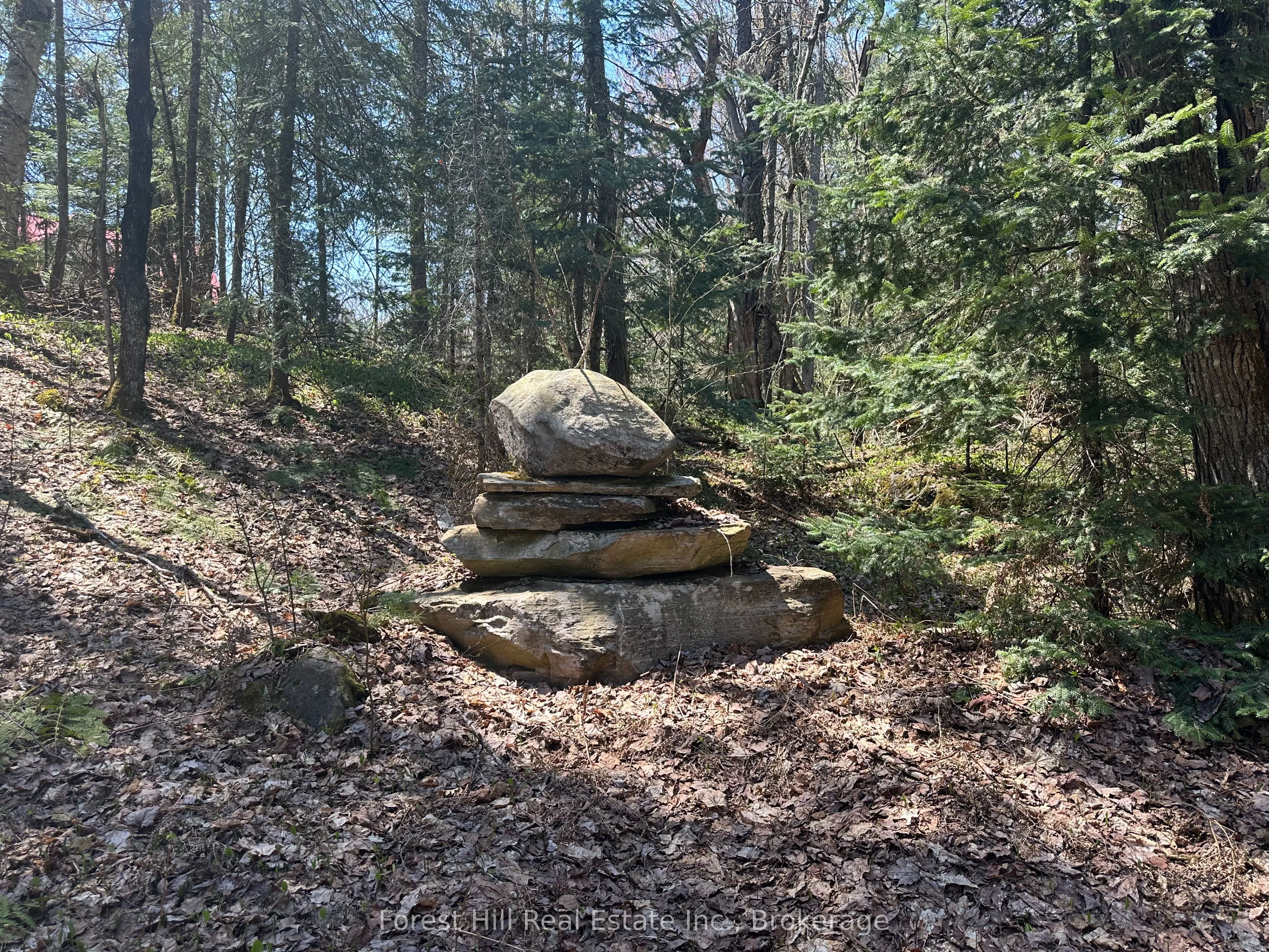 515 JAMES CAMP Road