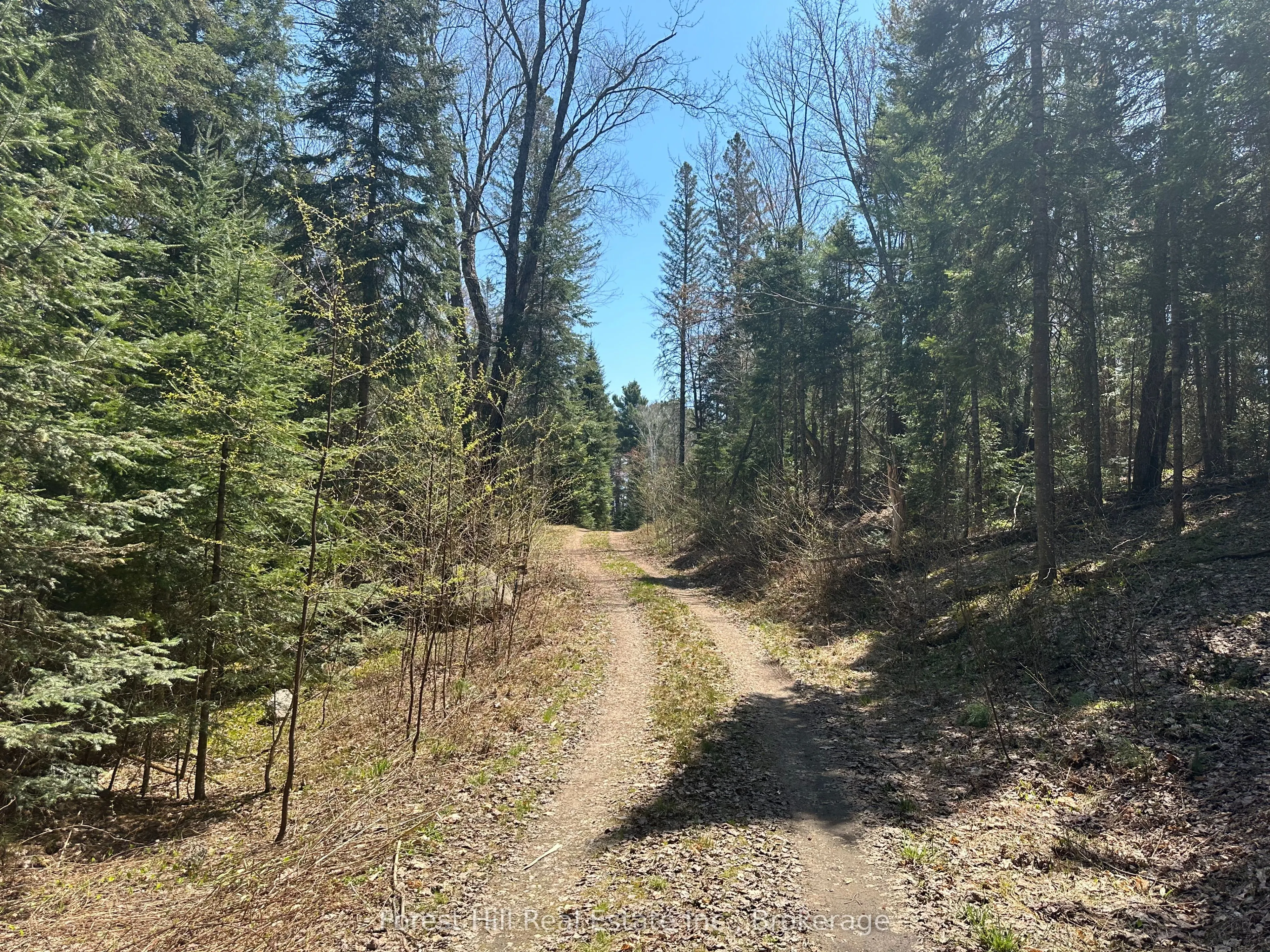 515 JAMES CAMP Road