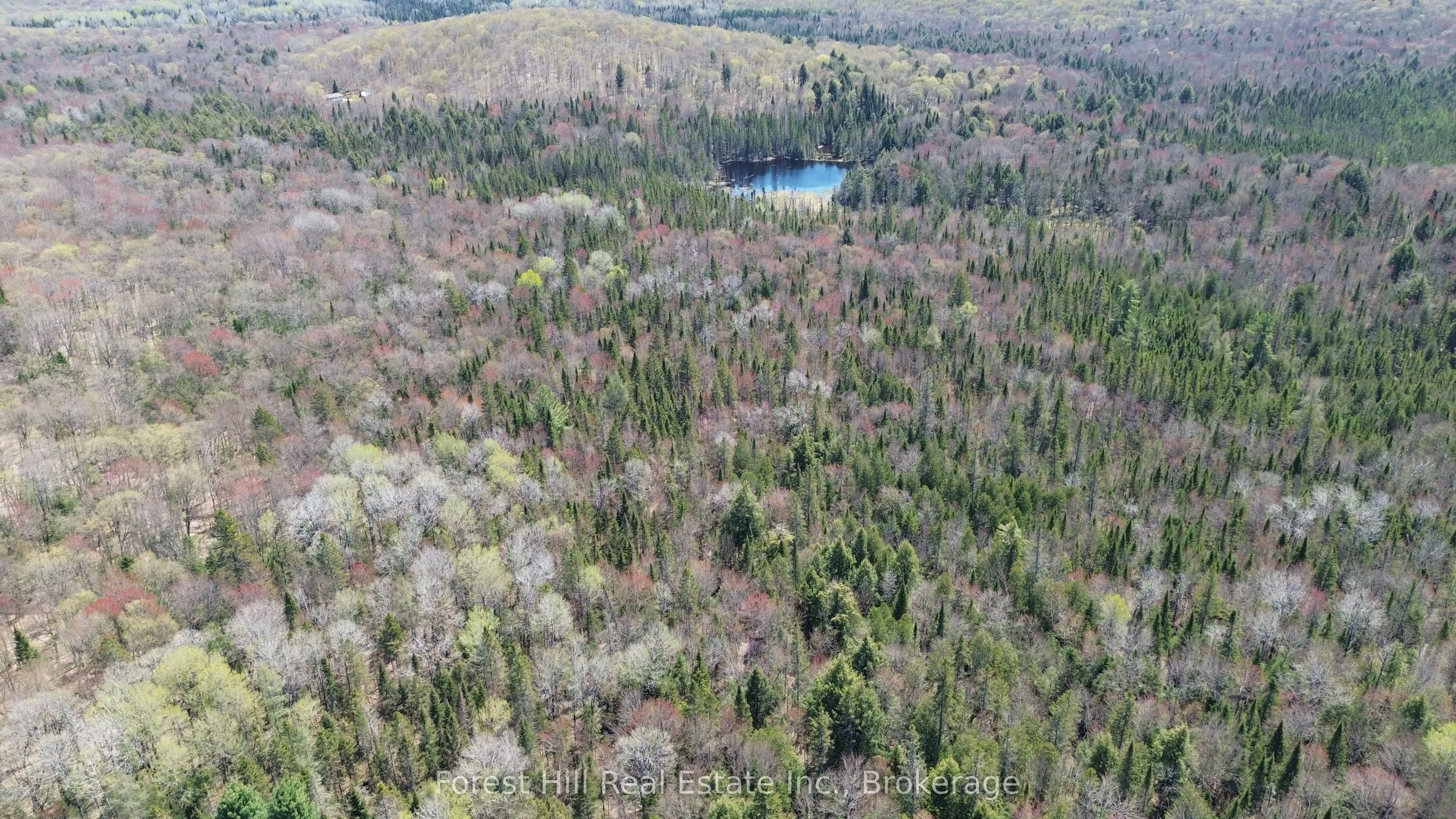515 JAMES CAMP Road