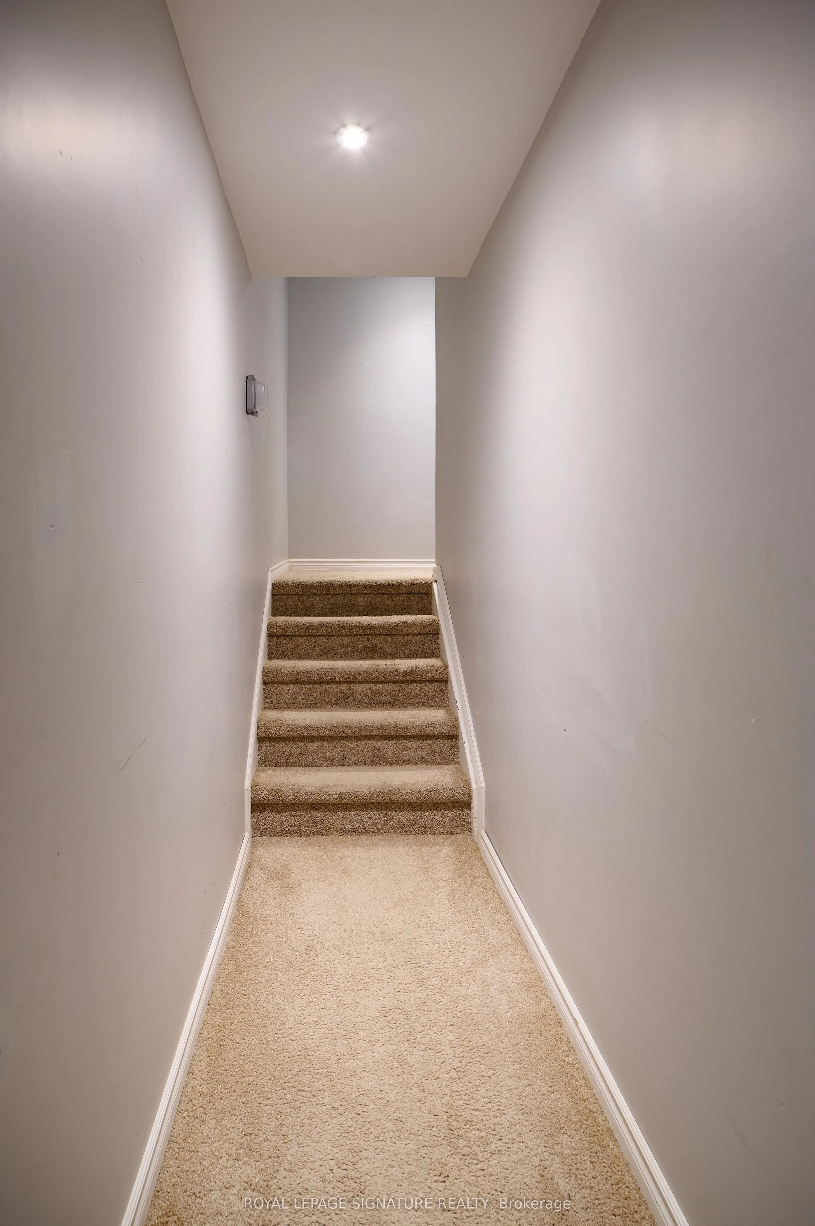 16 Chantilly Street