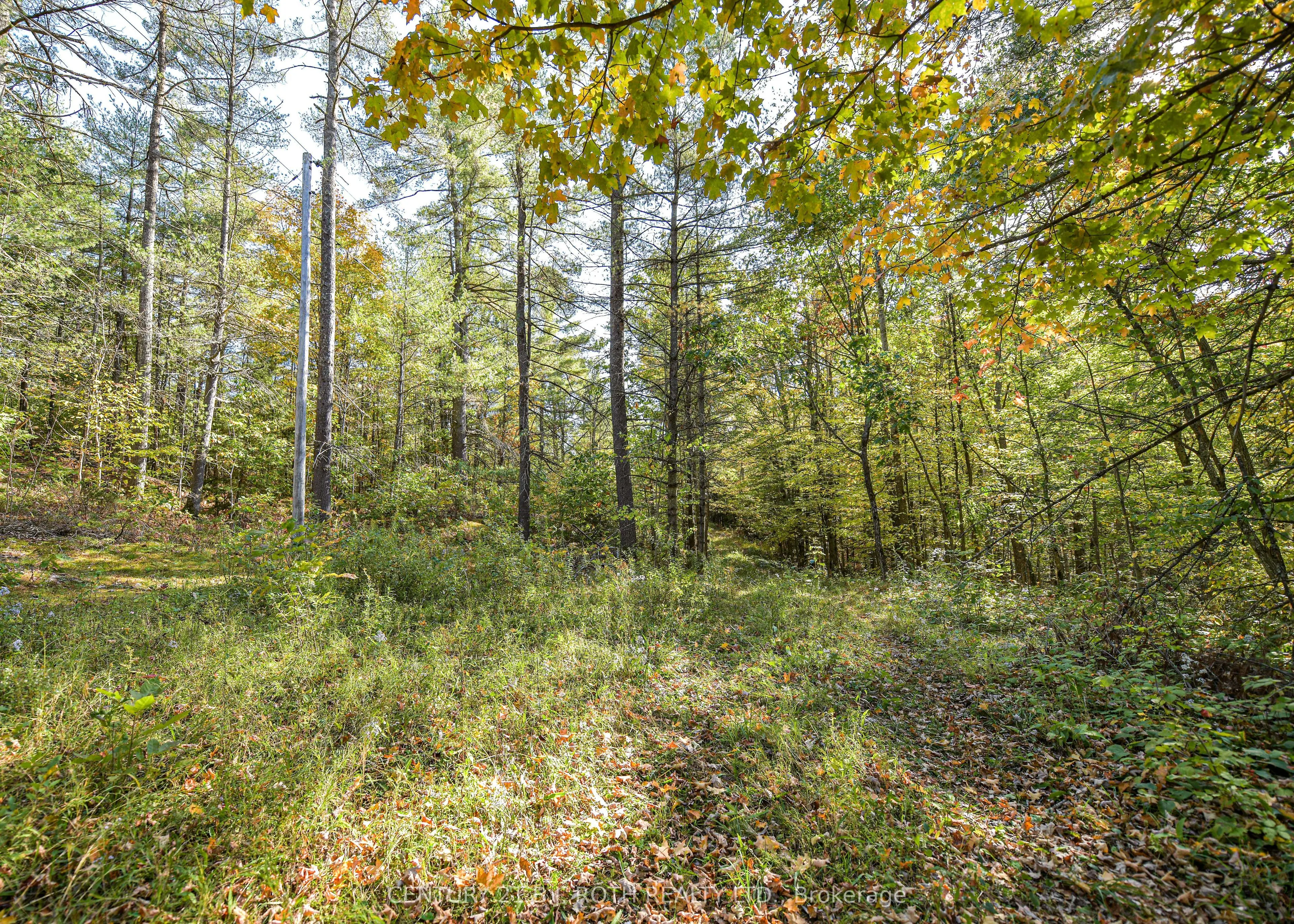 1112 Sam Cook Road, #2