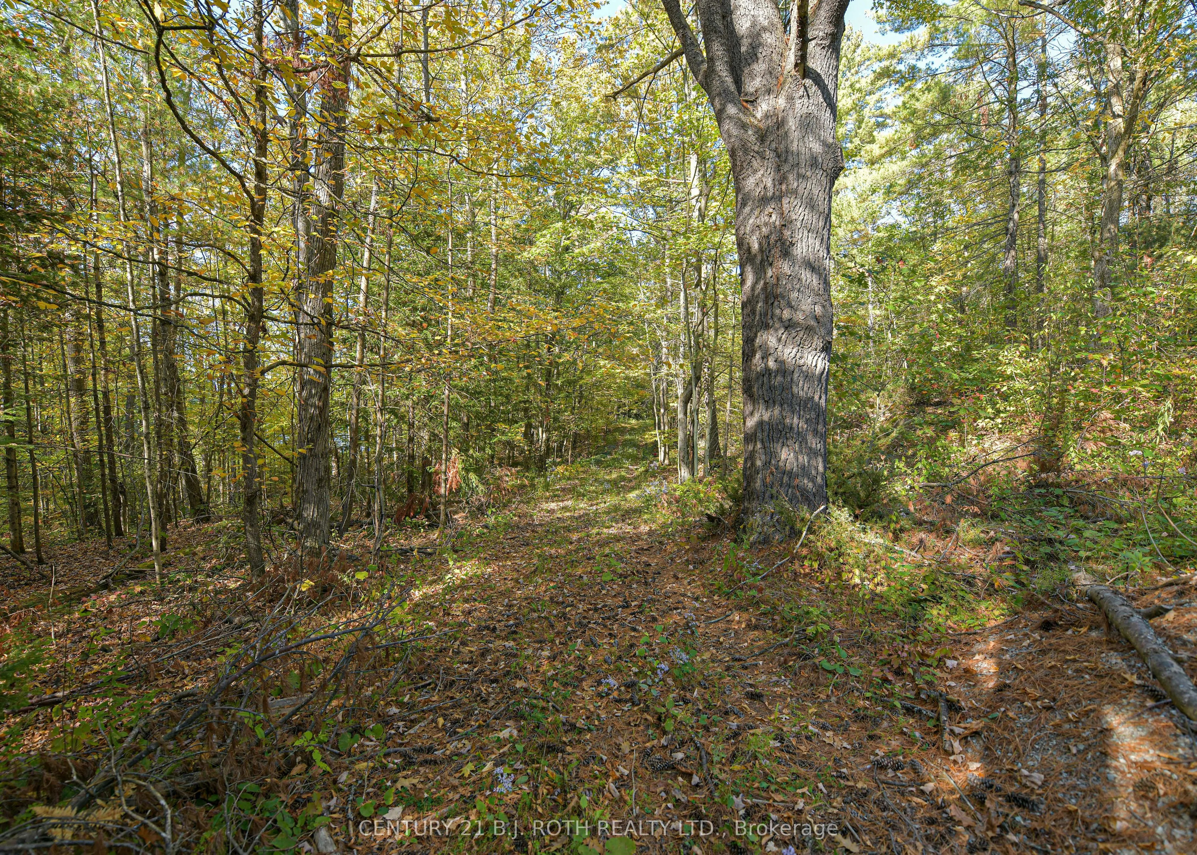 1112 Sam Cook Road, #2
