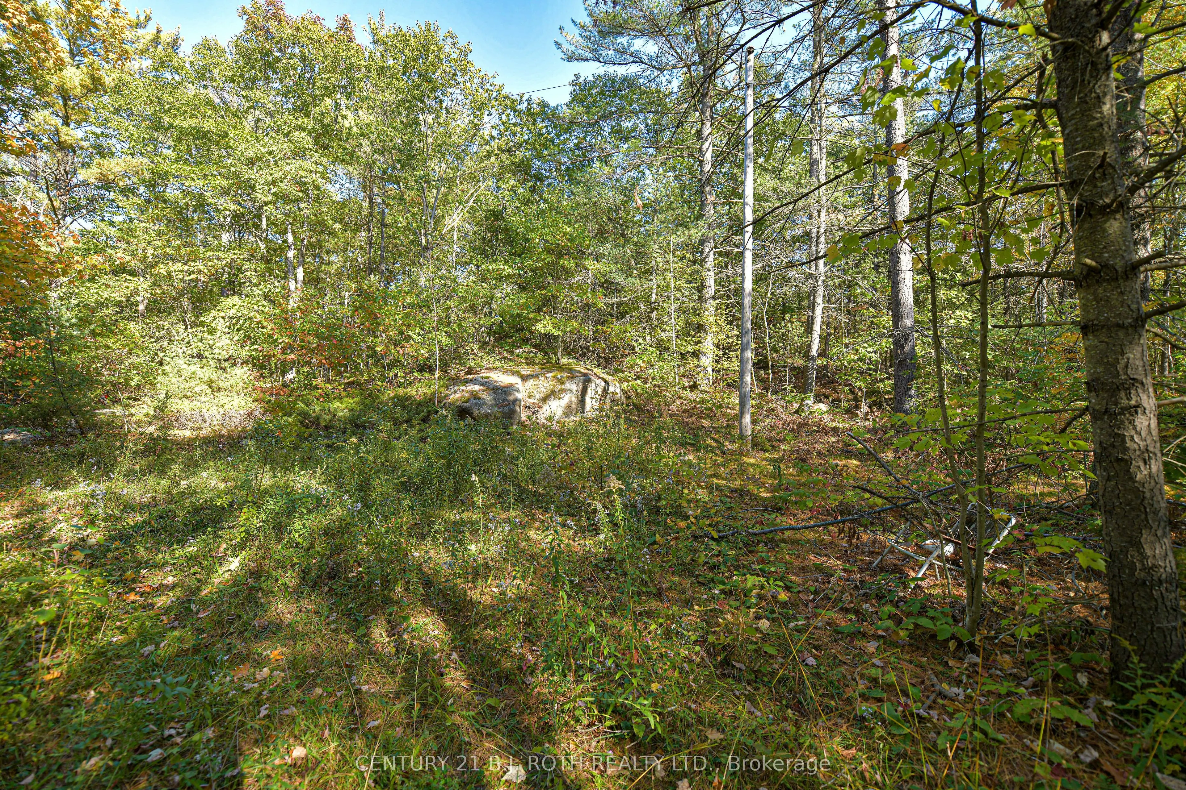1112 Sam Cook Road, #2