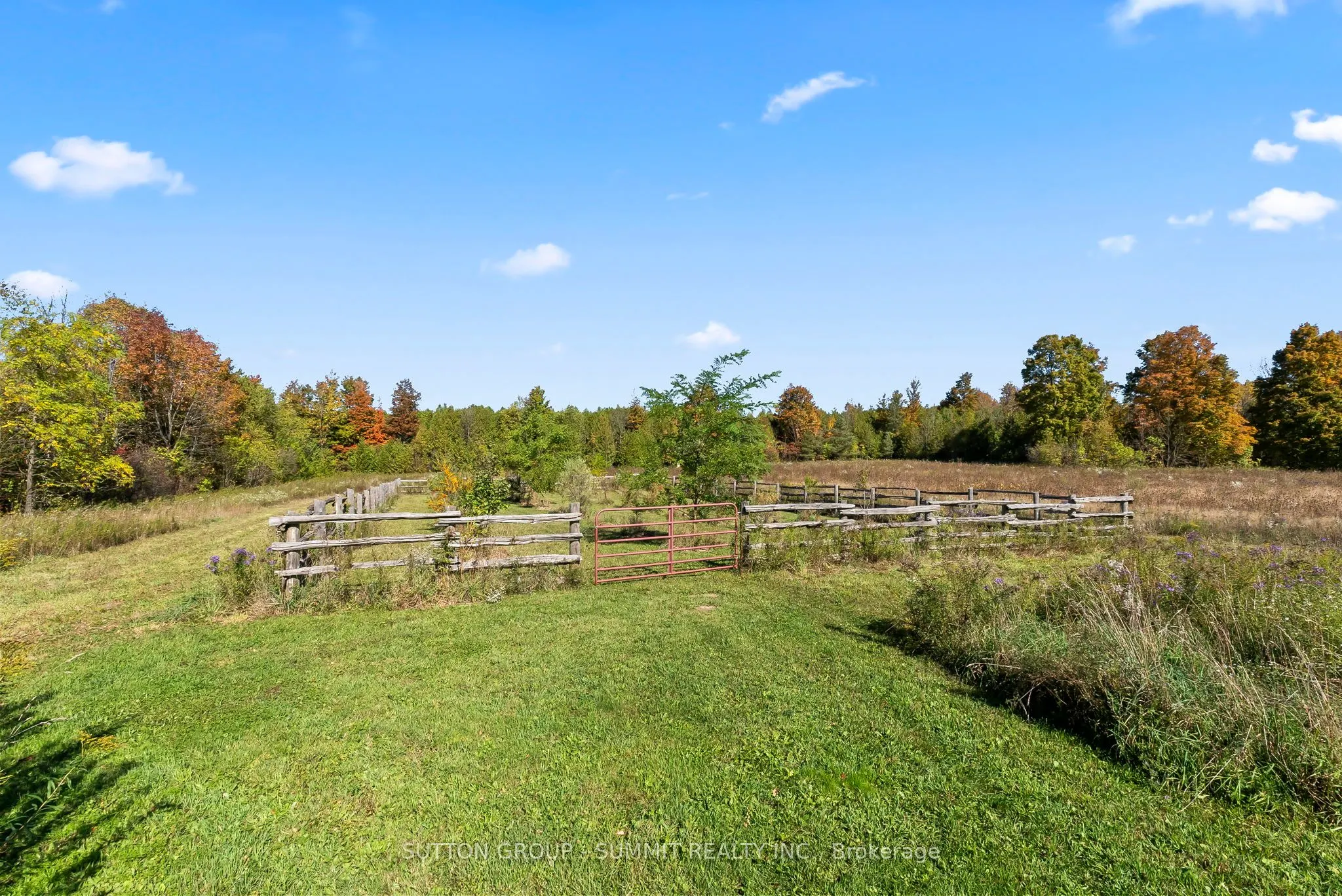 502349 10 Concession