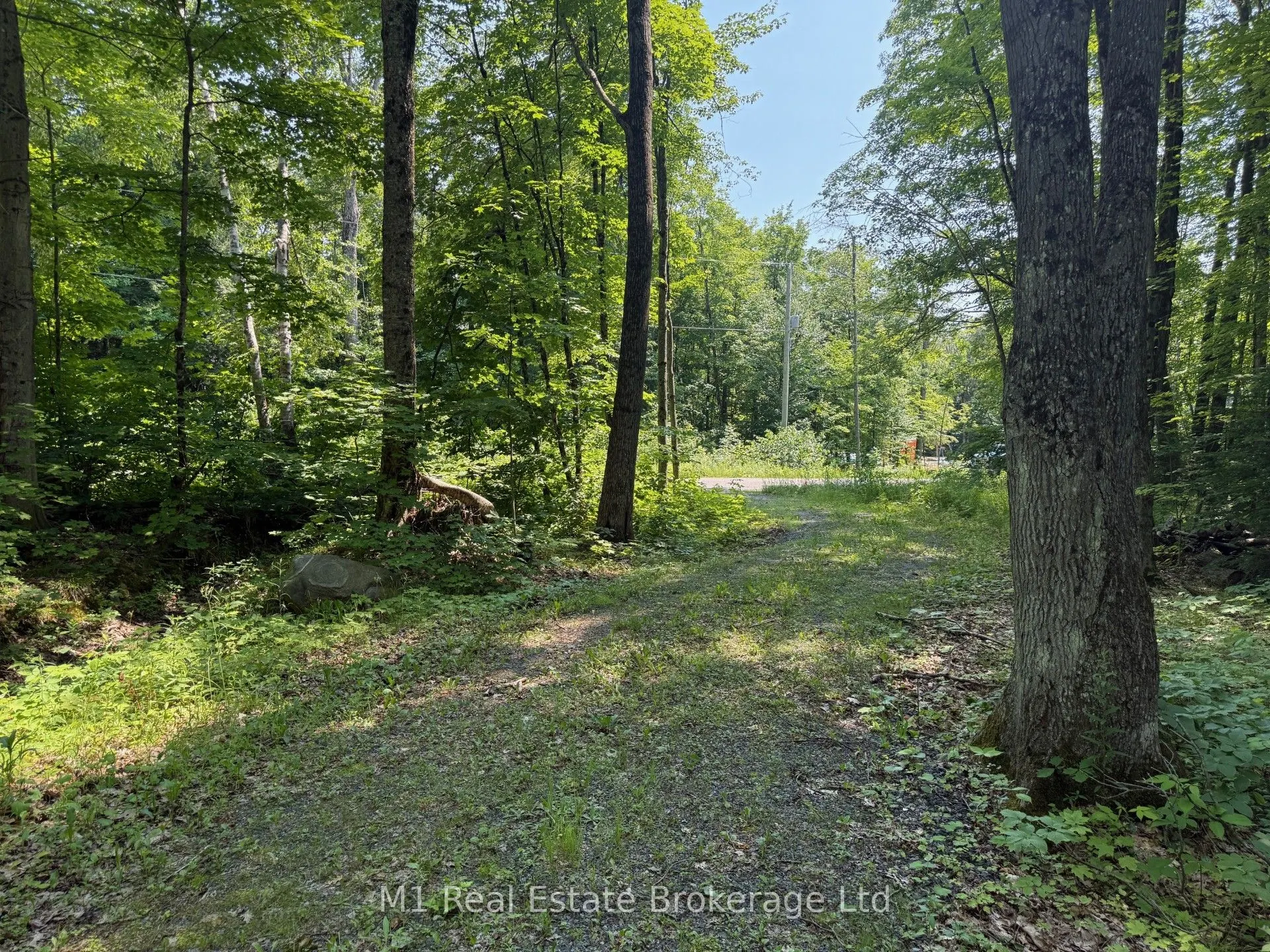 63 North Sandy Plains Road N