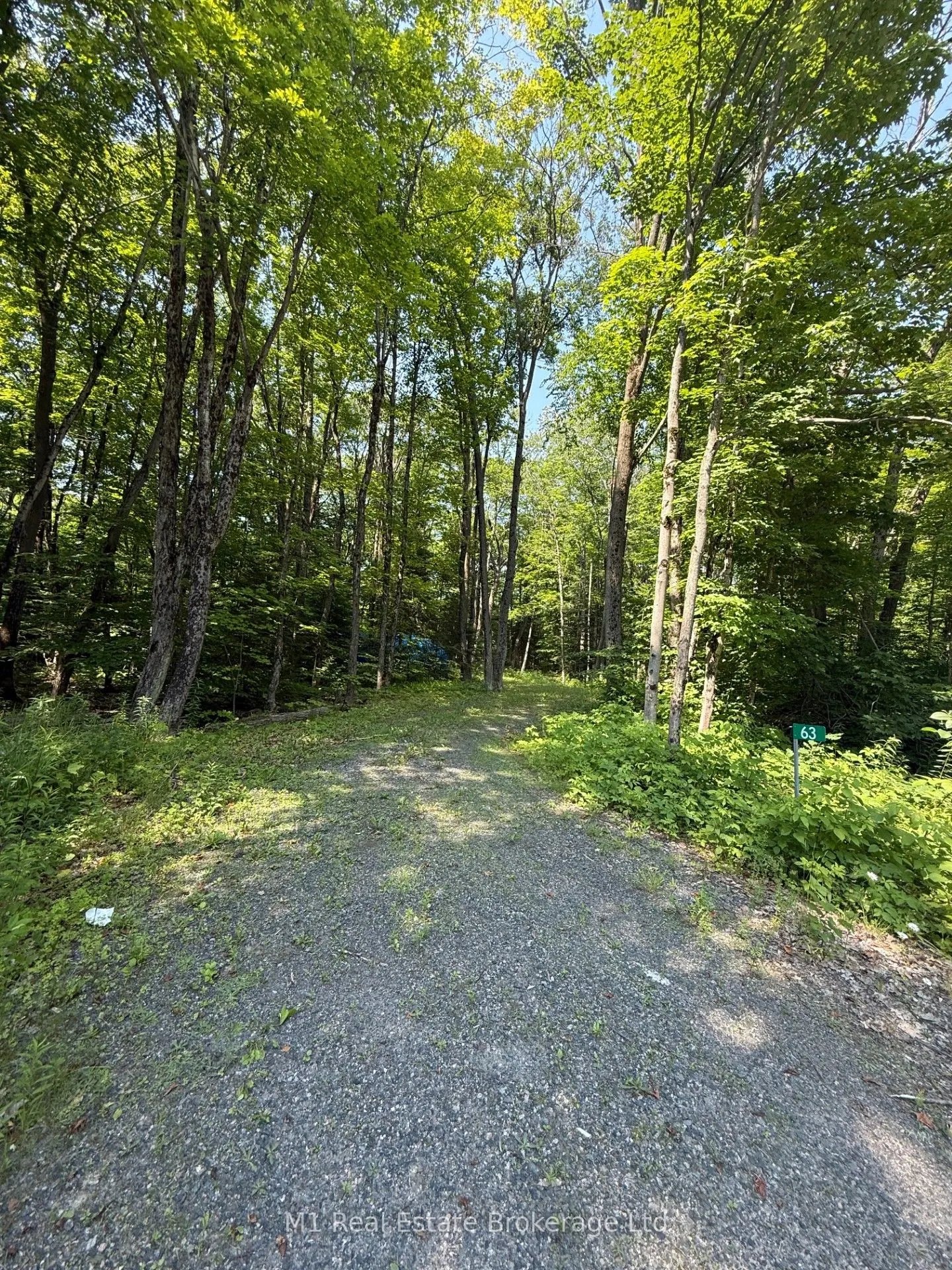 63 North Sandy Plains Road N