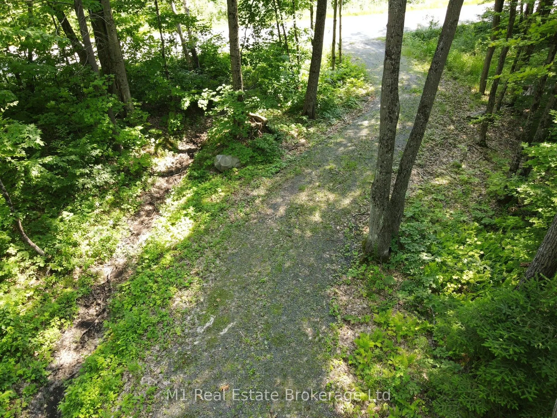 63 North Sandy Plains Road N