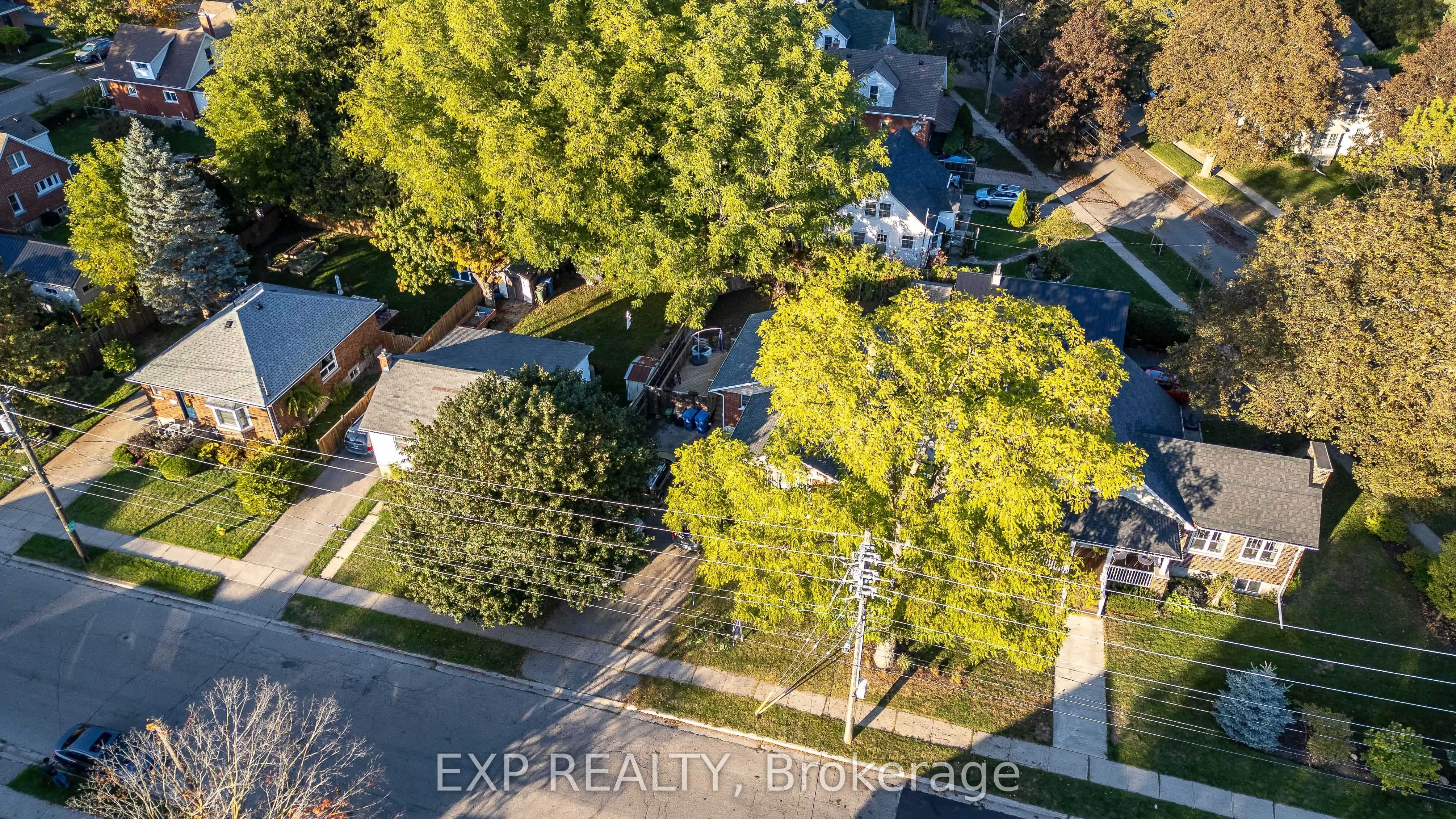 41 Alma Street N
