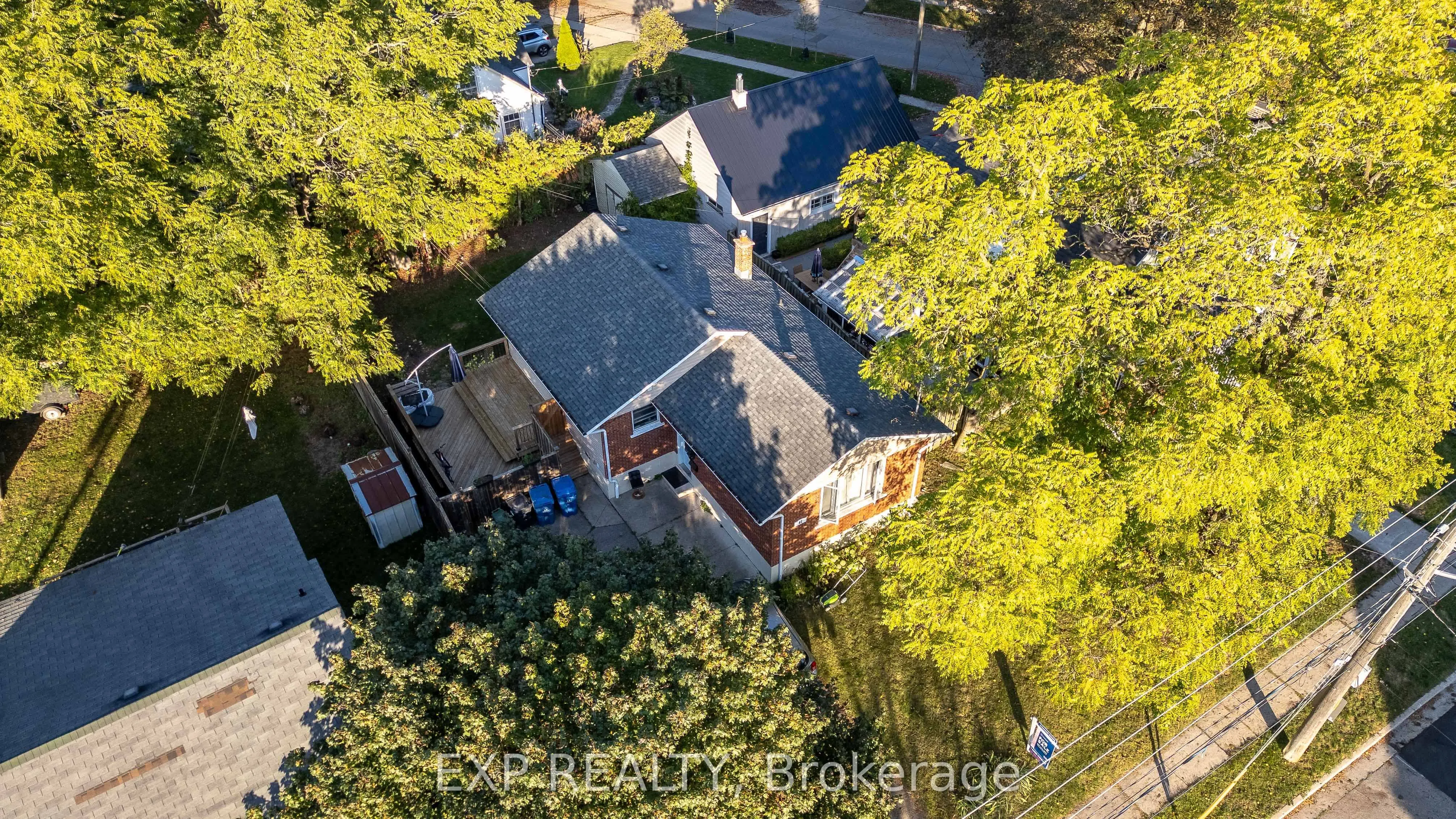 41 Alma Street N