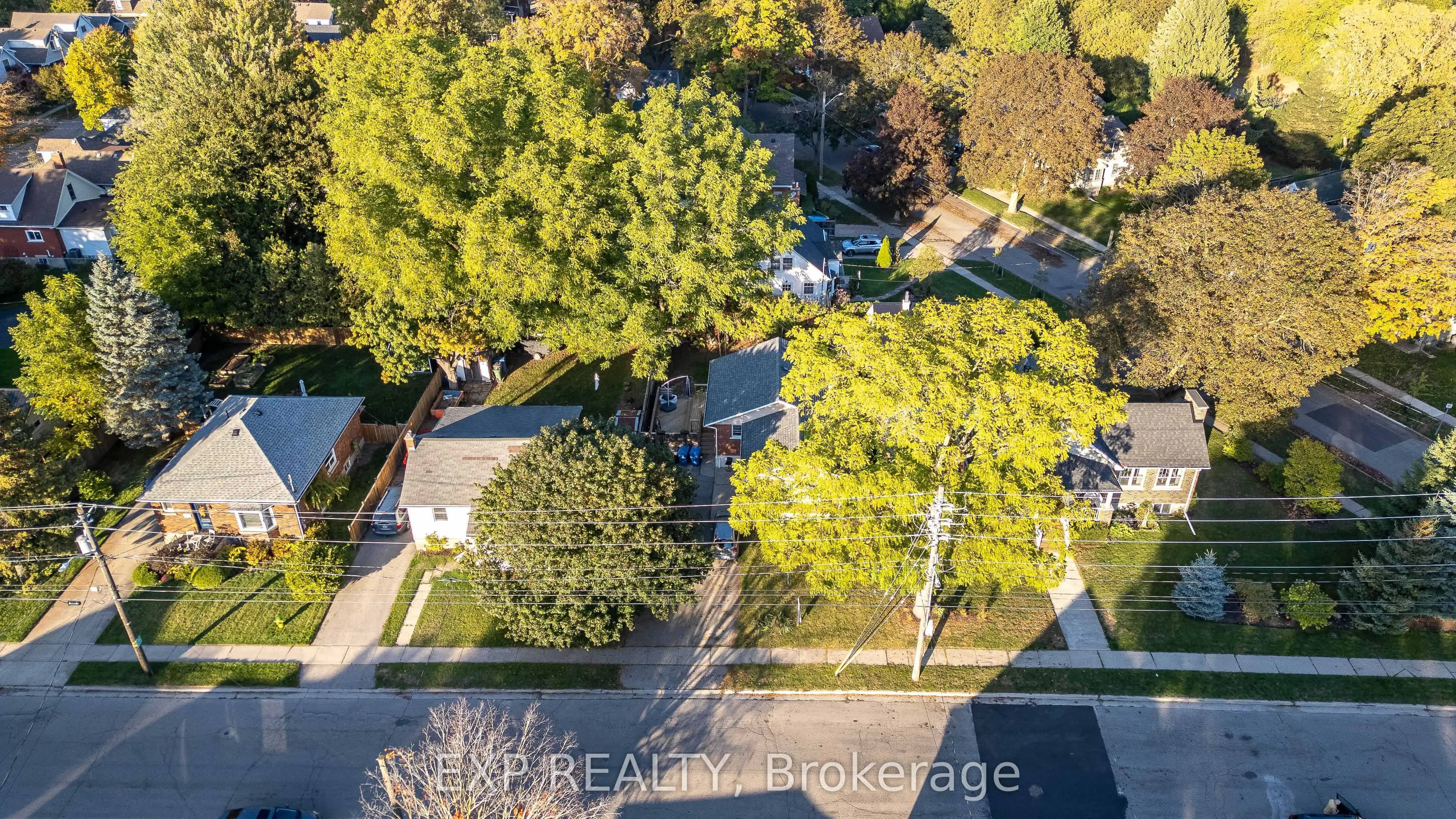 41 Alma Street N