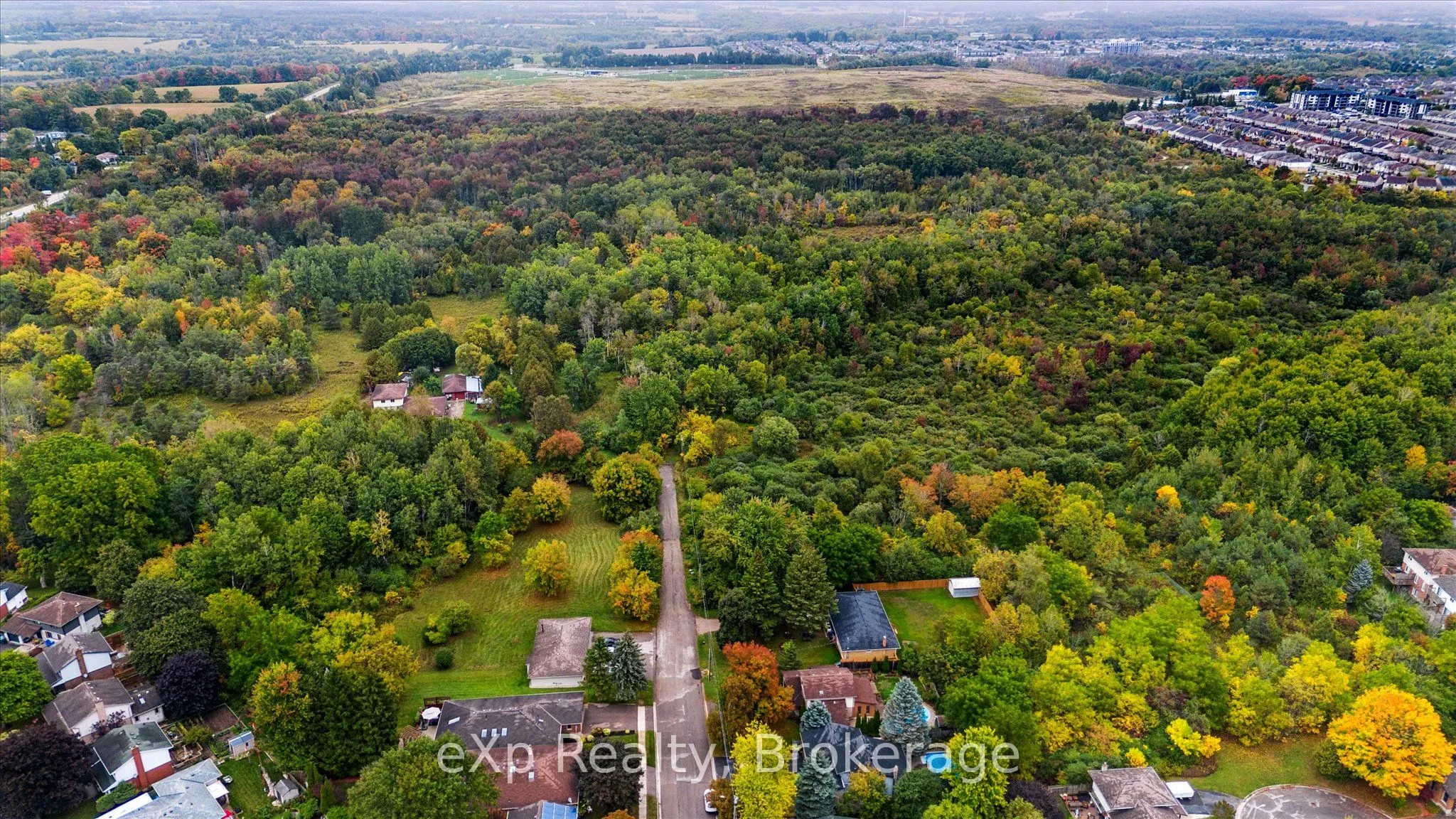 44 Hyland Road