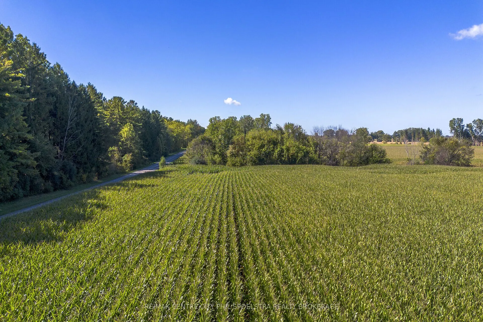 LT 22 Conc 3 Coltsfoot Drive