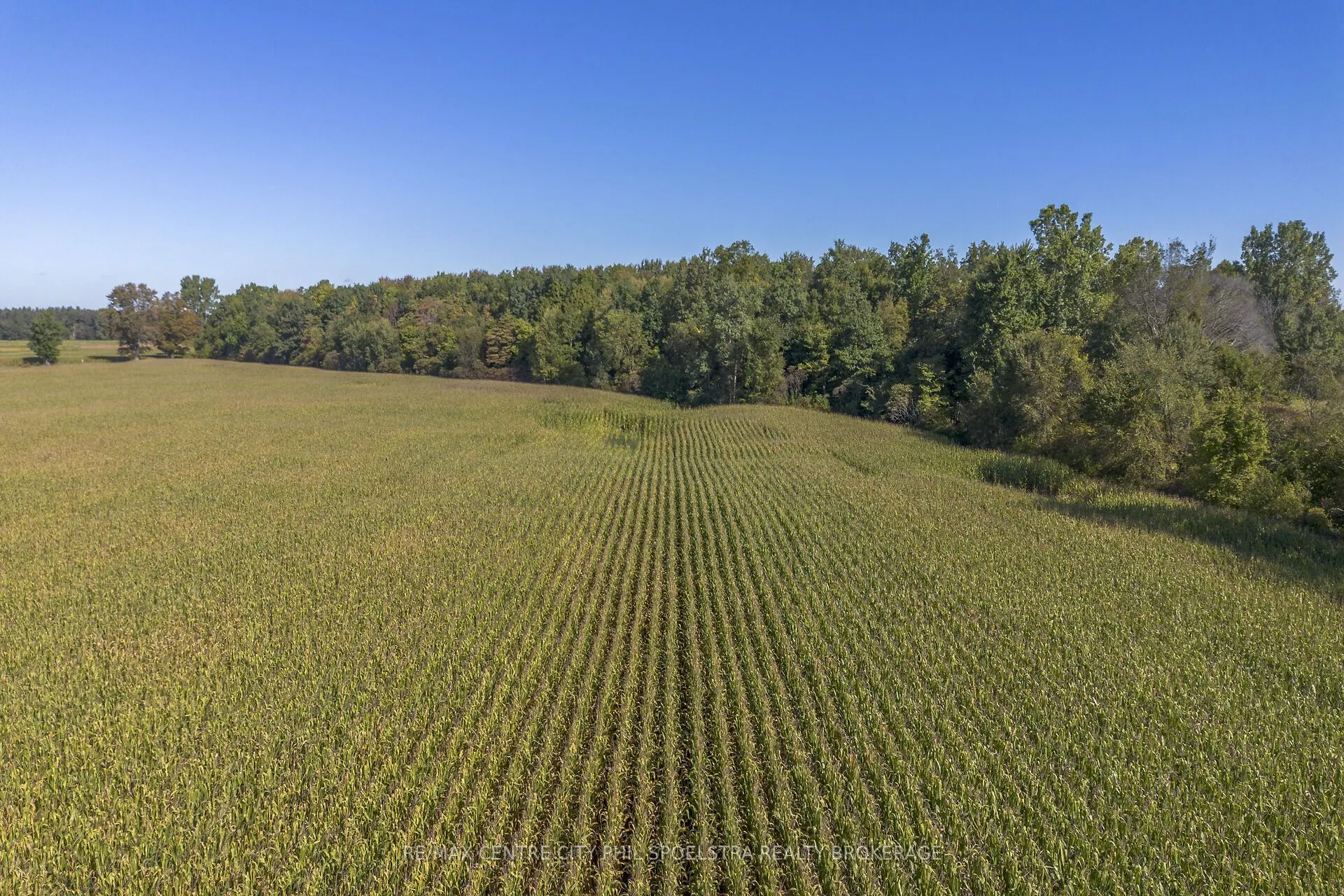 LT 22 Conc 3 Coltsfoot Drive