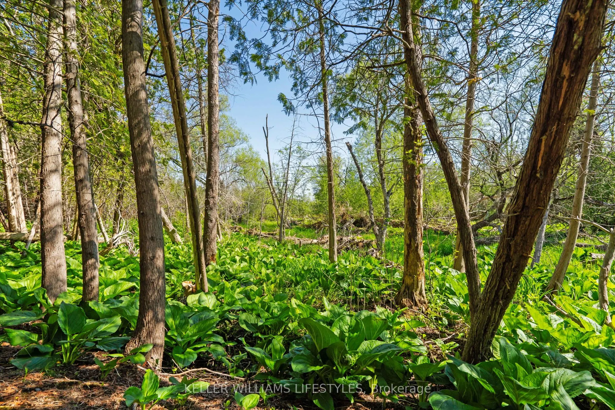15083 Medway Road