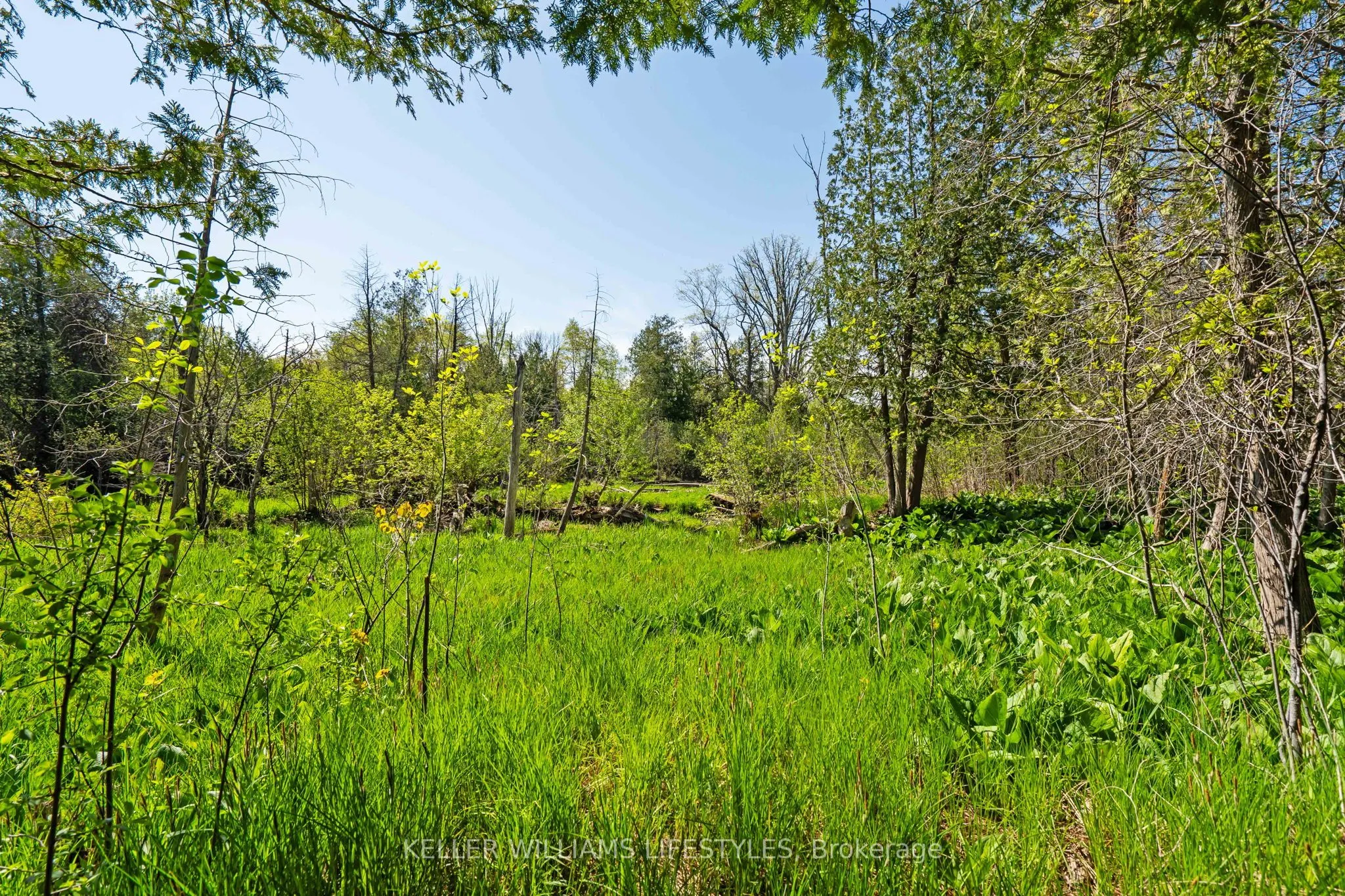 15083 Medway Road