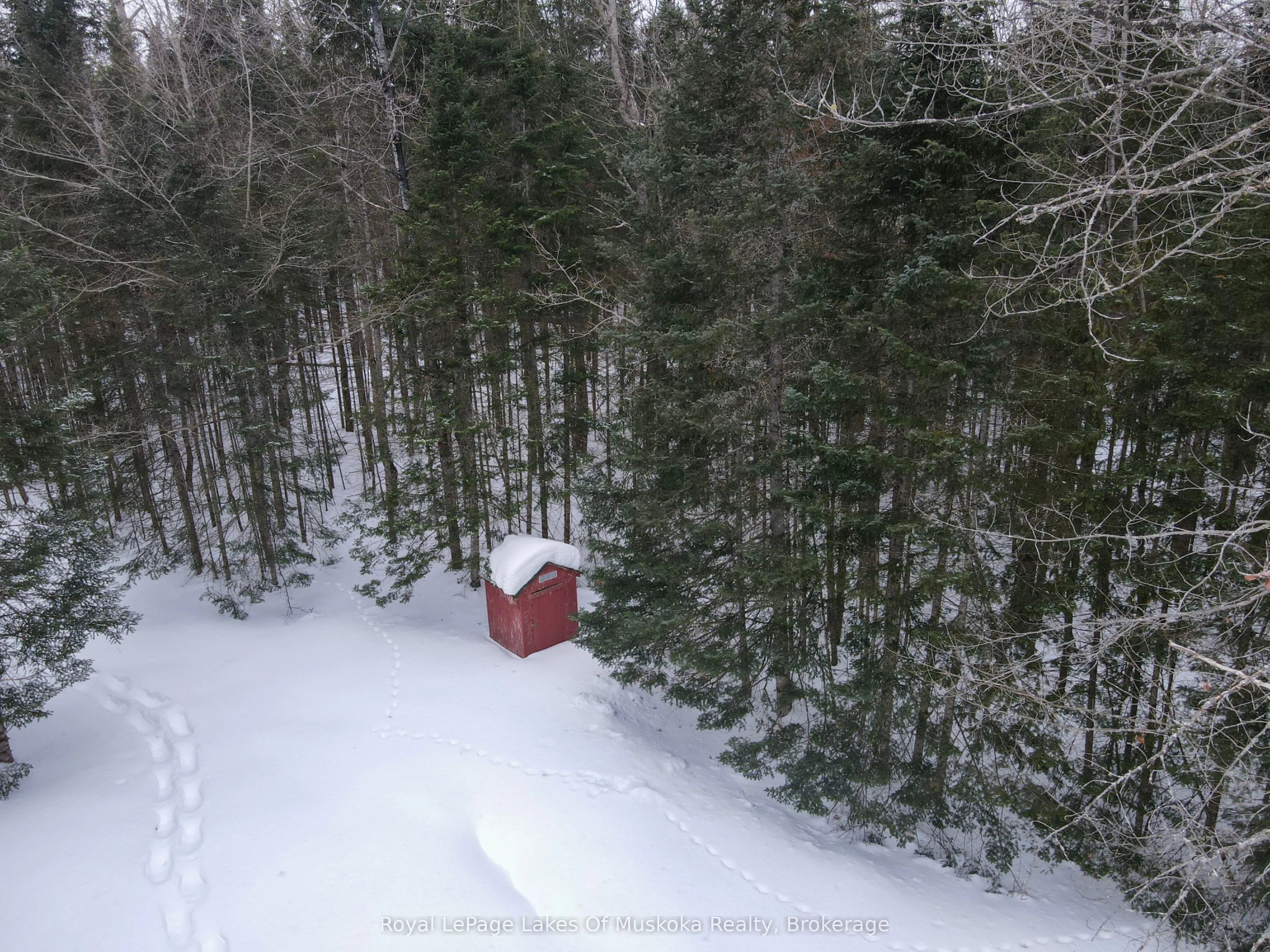1238 Star Lake Road