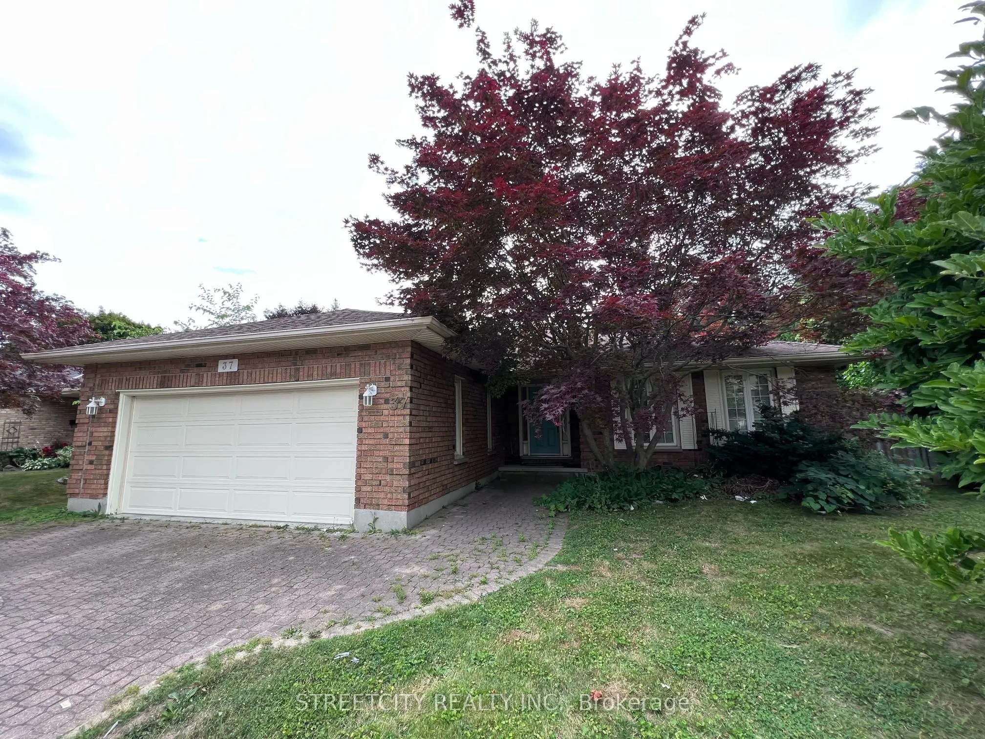 37 Jennifer Road