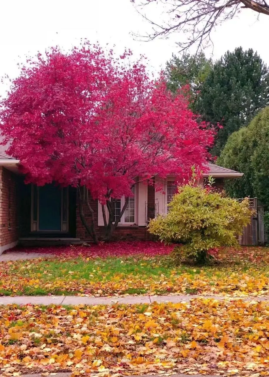 37 Jennifer Road