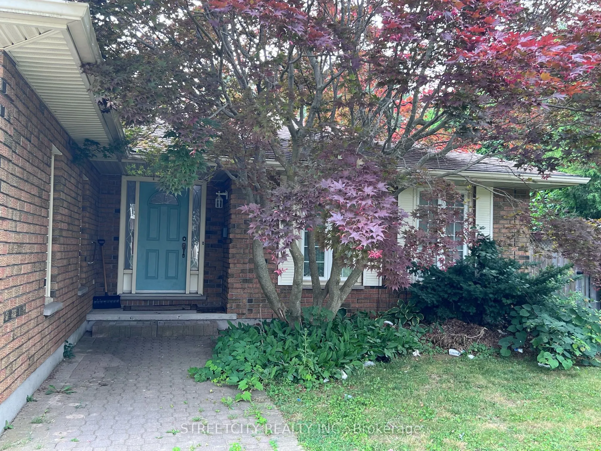 37 Jennifer Road