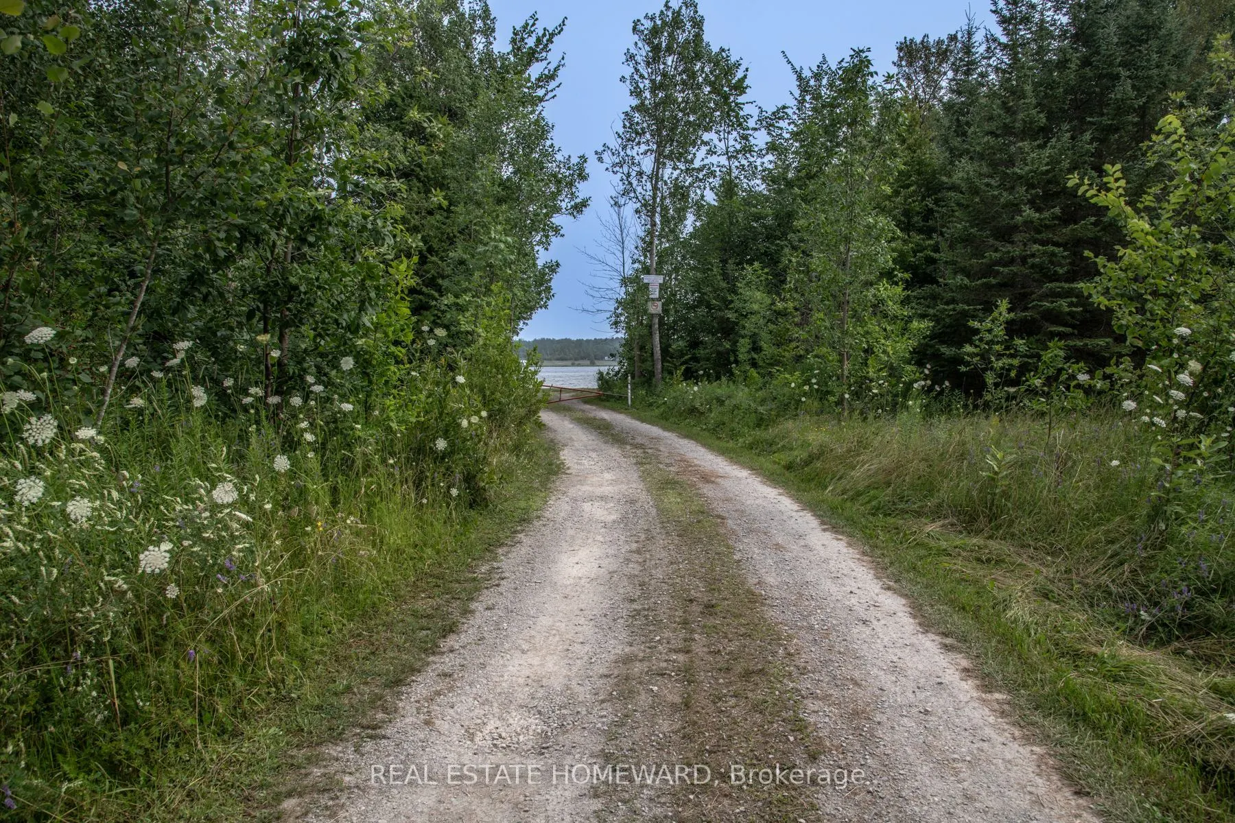 Lot 254 McGuire Beach Road
