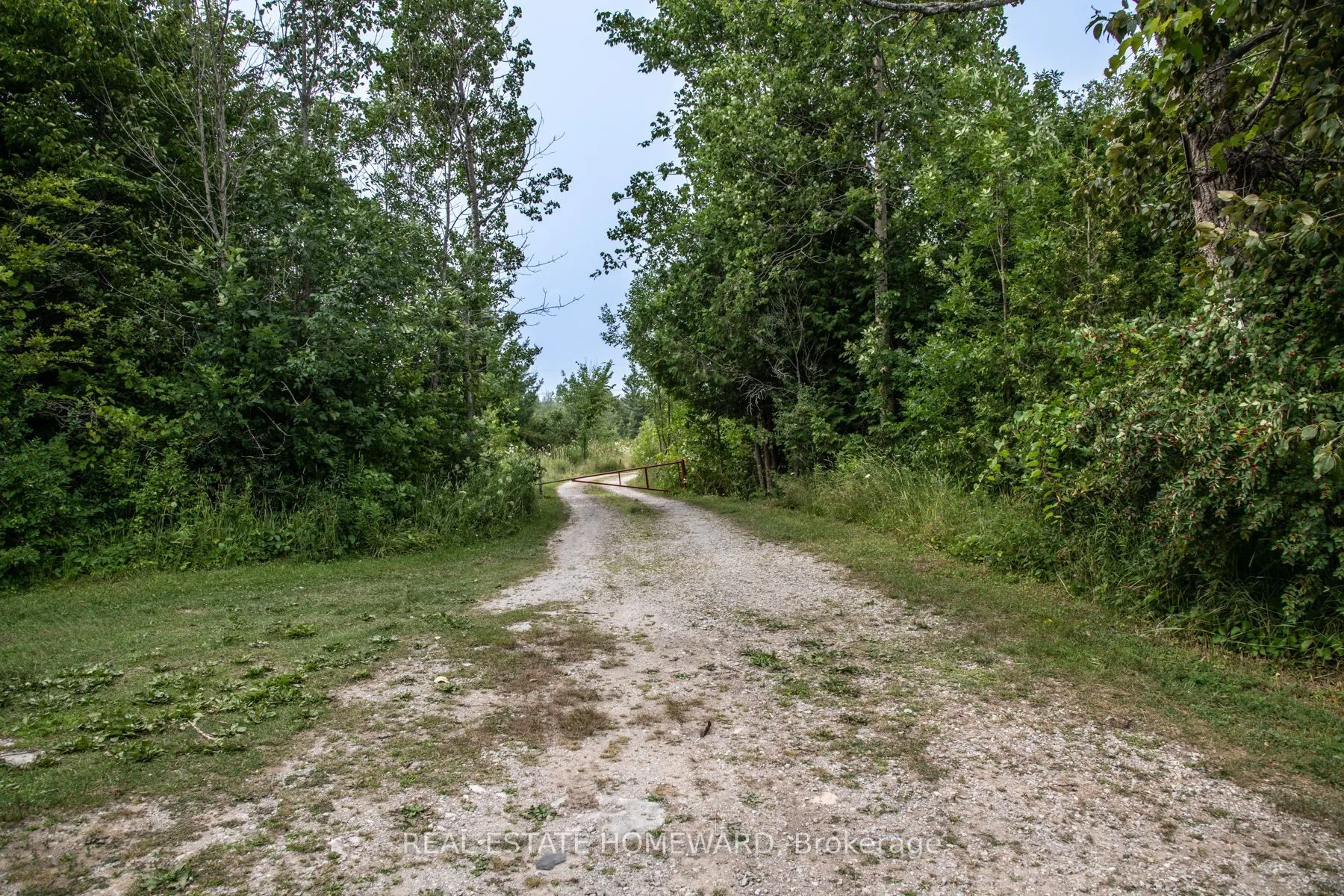 Lot 254 McGuire Beach Road