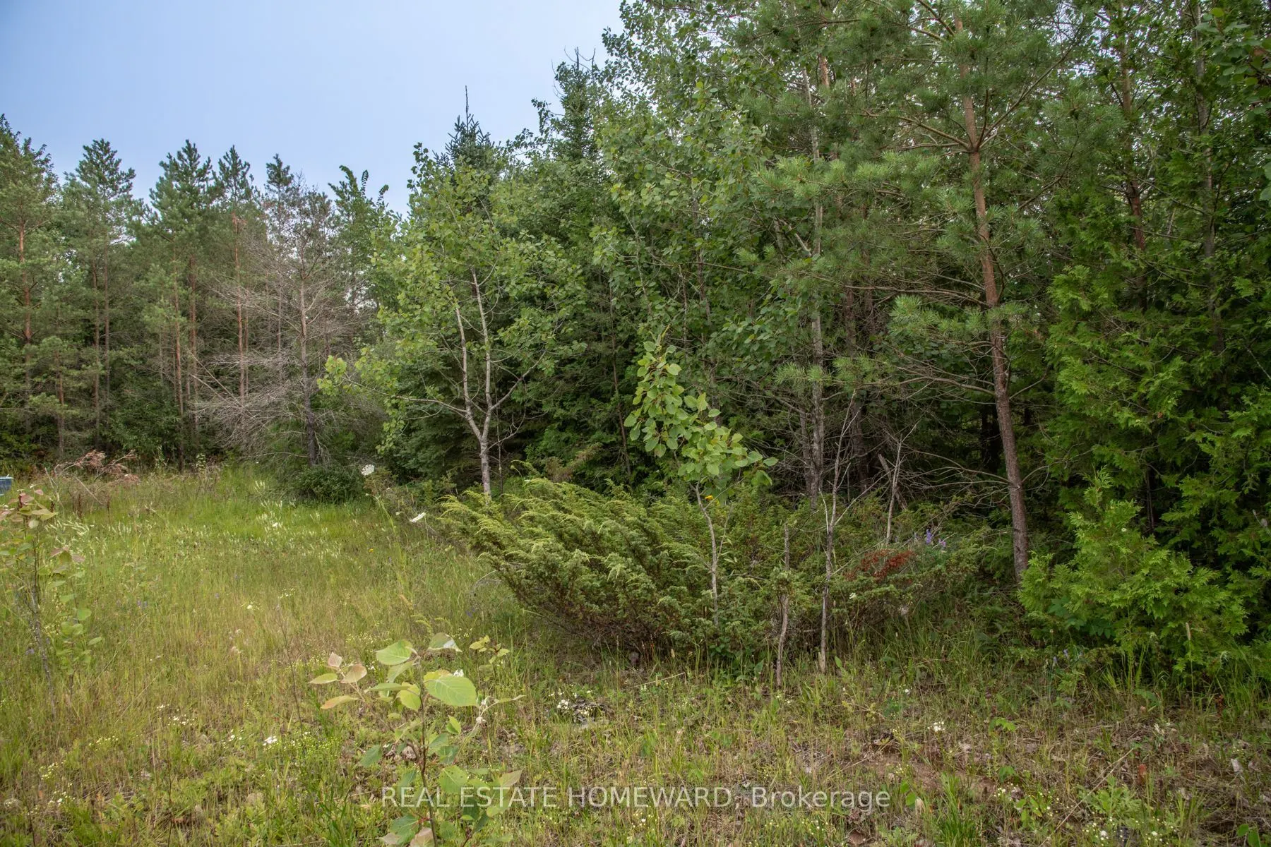 Lot 256 McGuire Beach Road