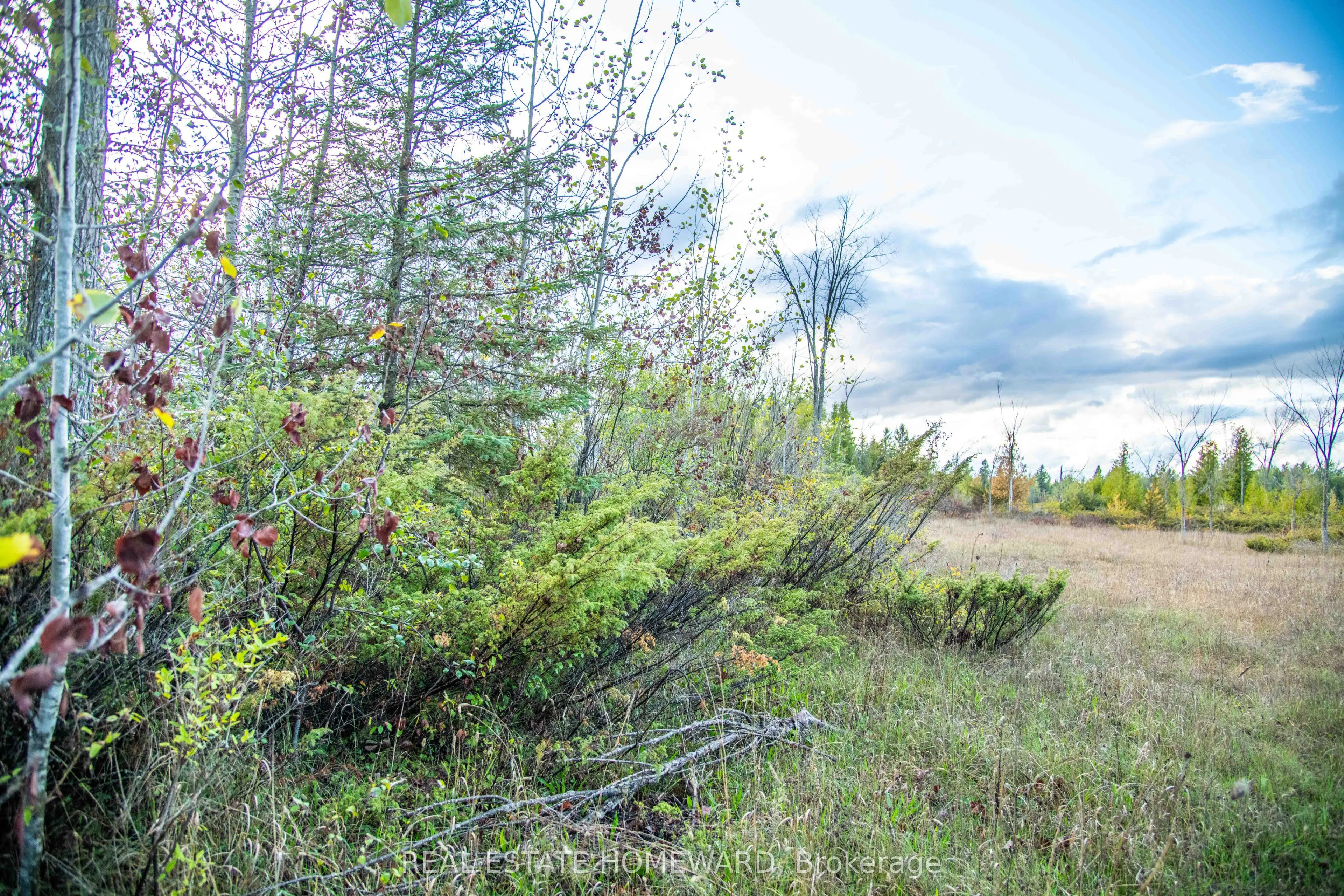 Lot 256 McGuire Beach Road