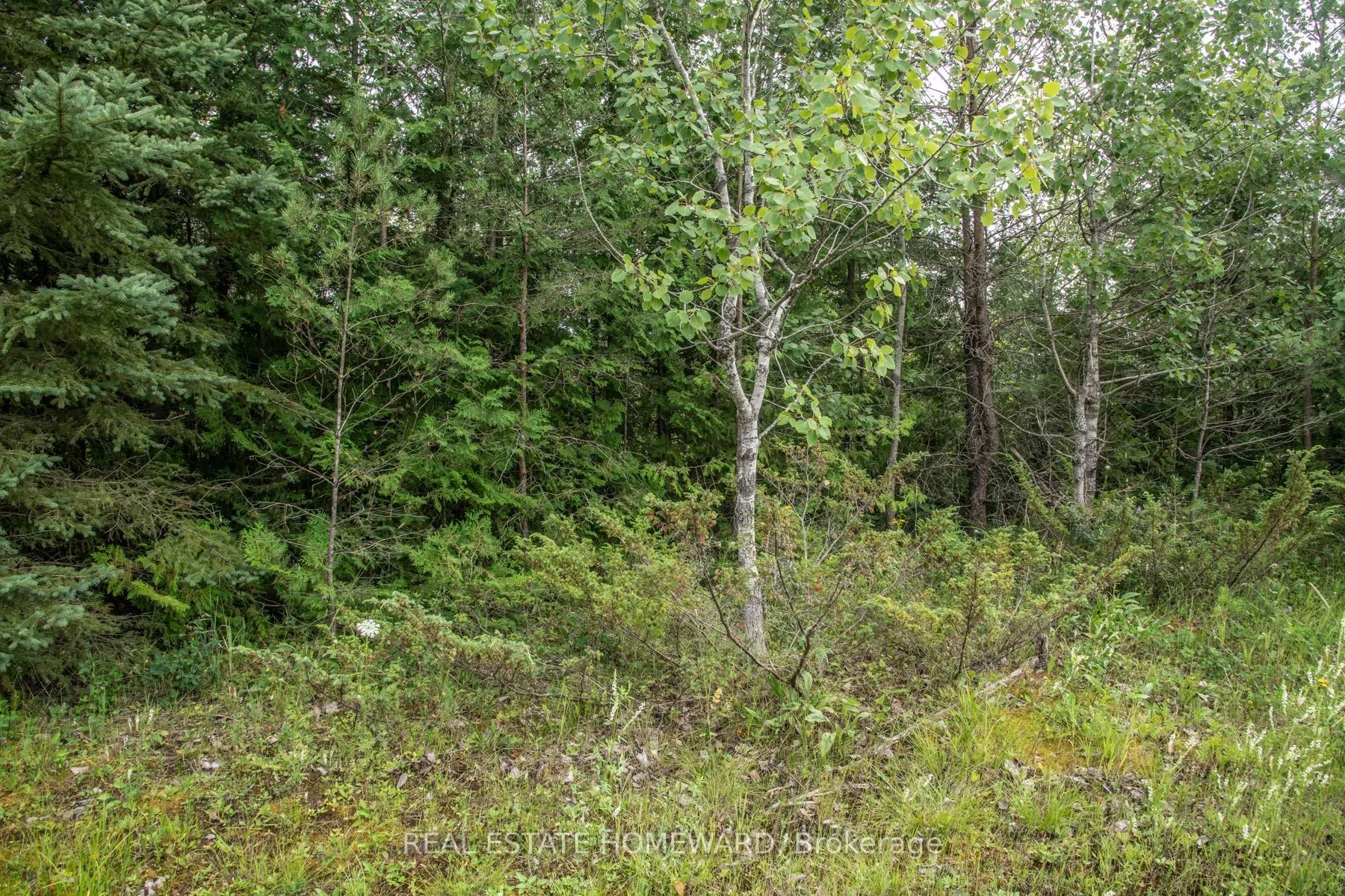 Lot 256 McGuire Beach Road