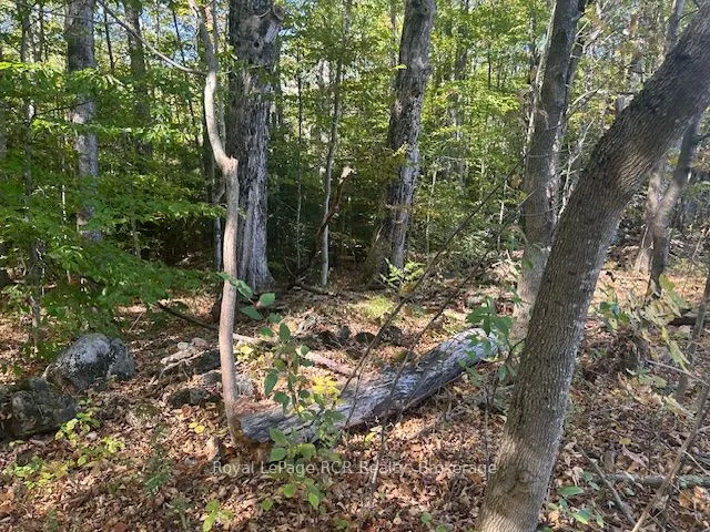 237069 2A Concession