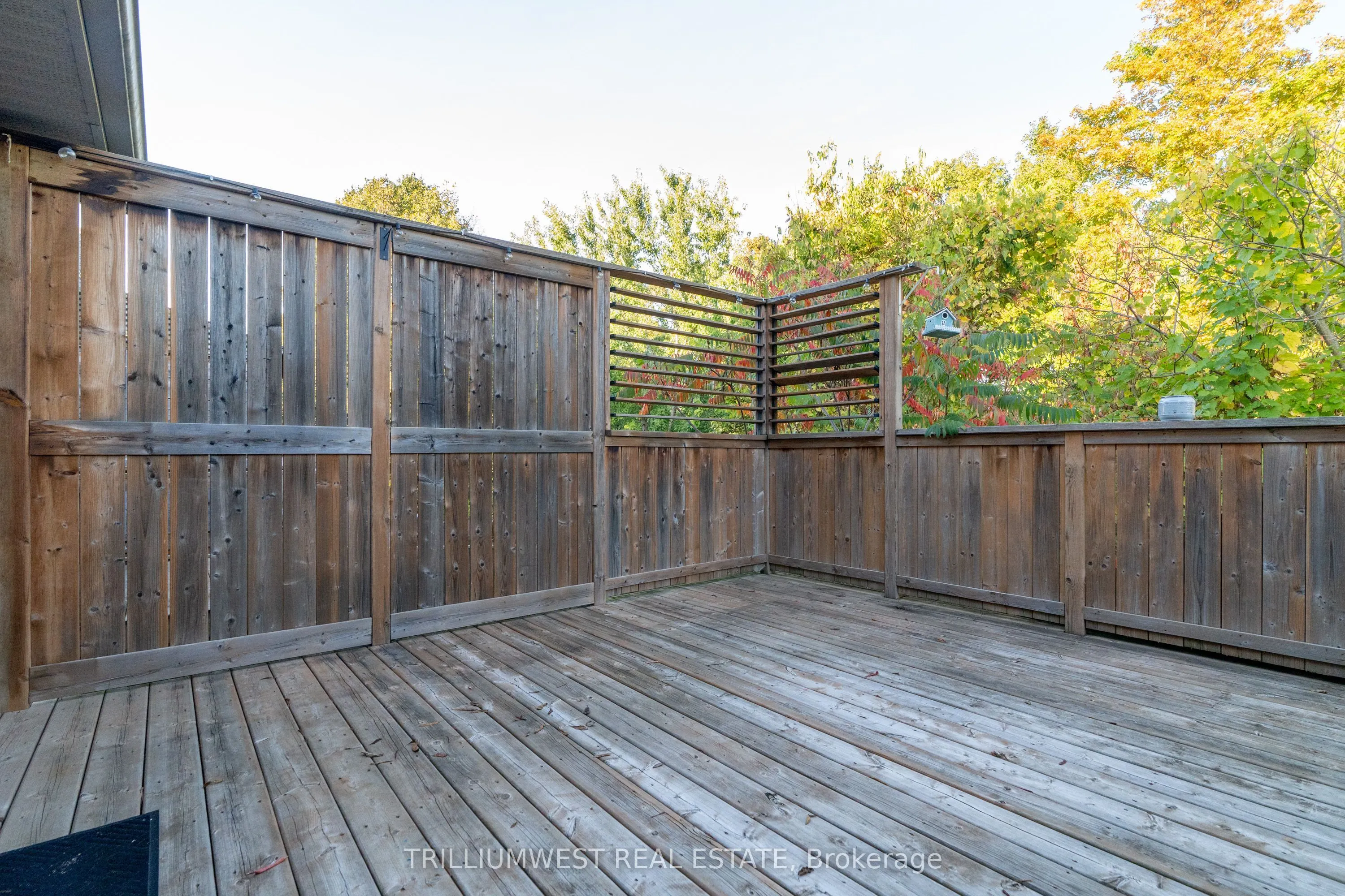 49 Meadowridge Street