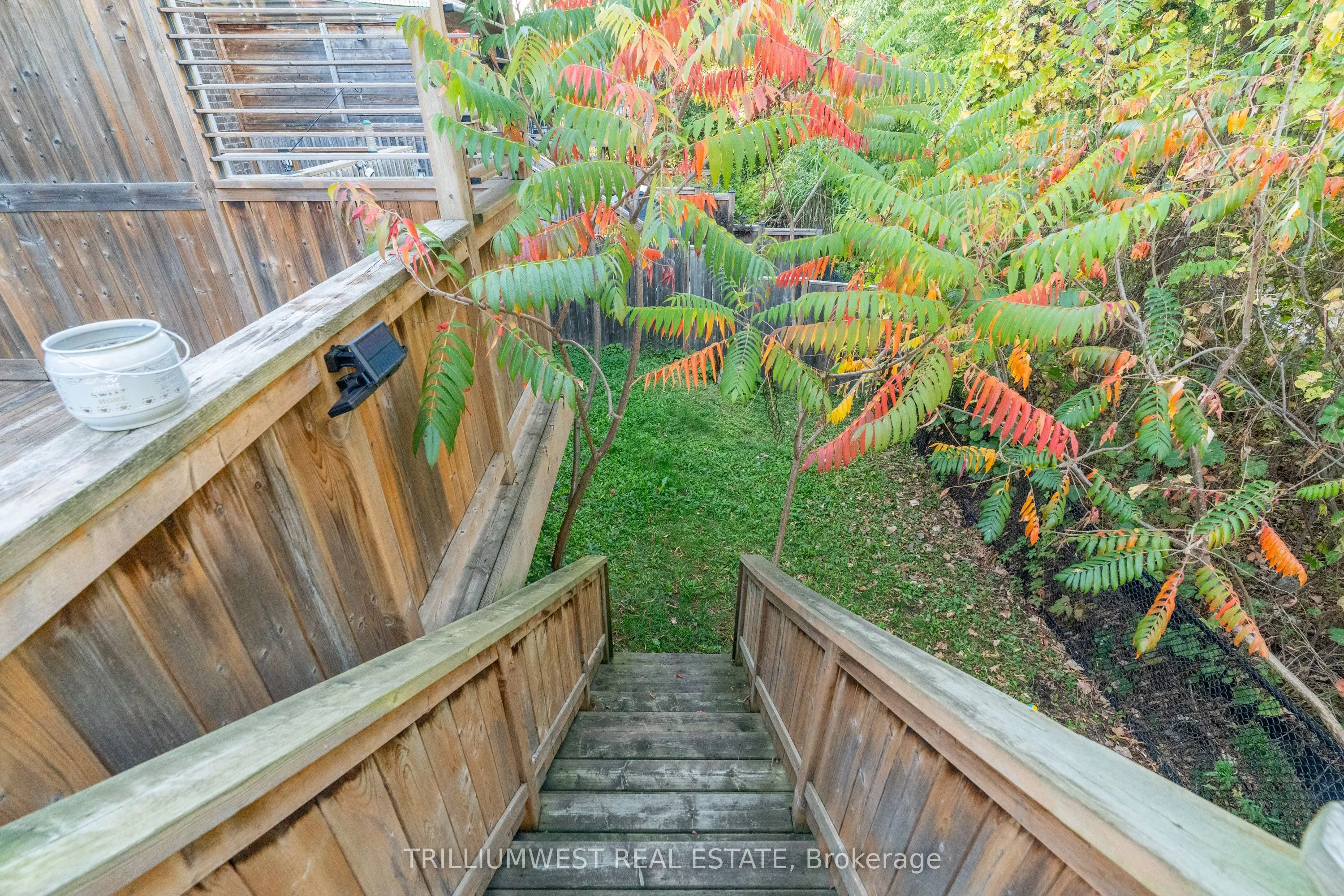 49 Meadowridge Street